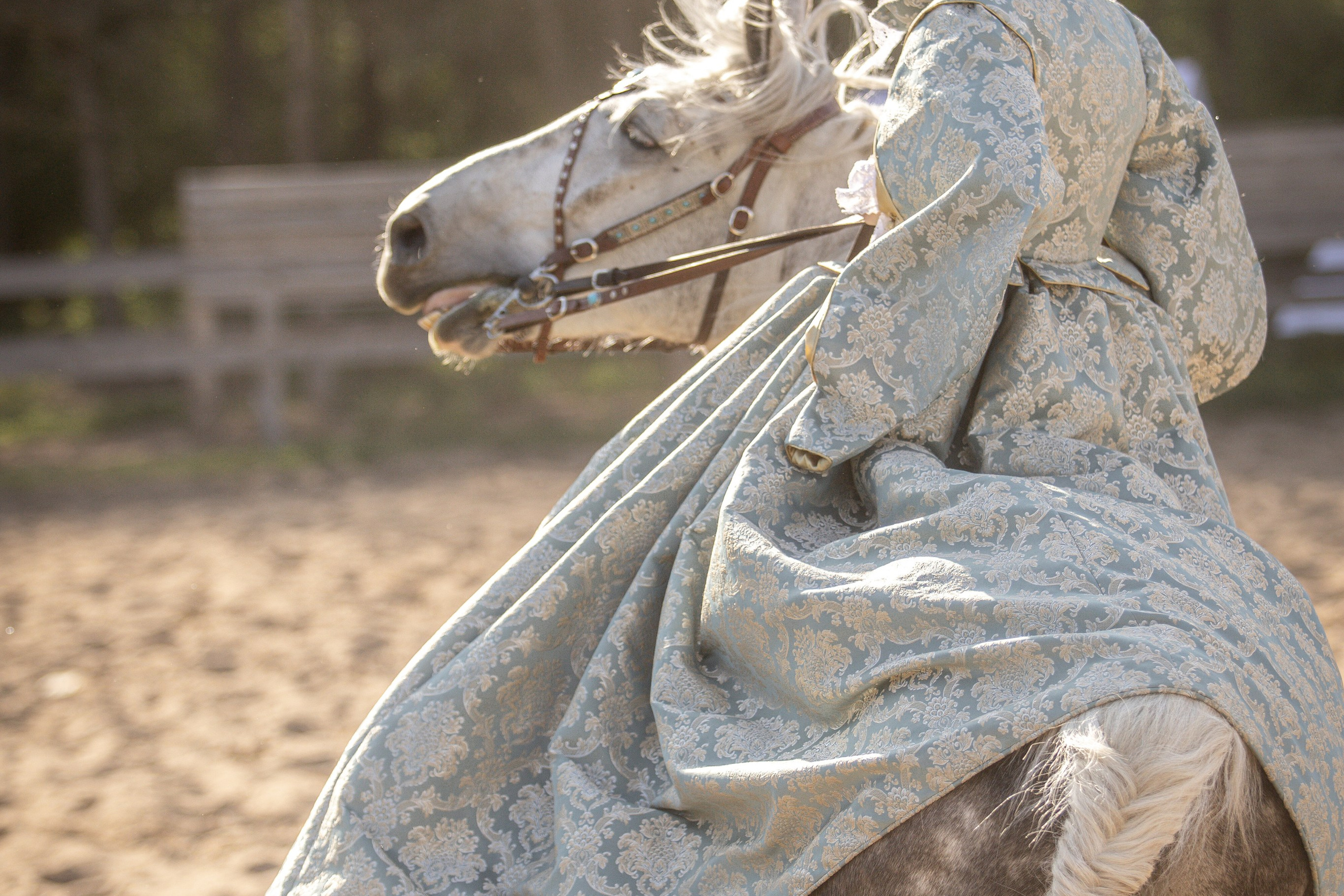 Золотая Шпора. Огнем и Мечем. День первый. Рыцарский турнир. Профессиональный интерьерный и репортажный фотограф Минск и РБ. Максим Орлов