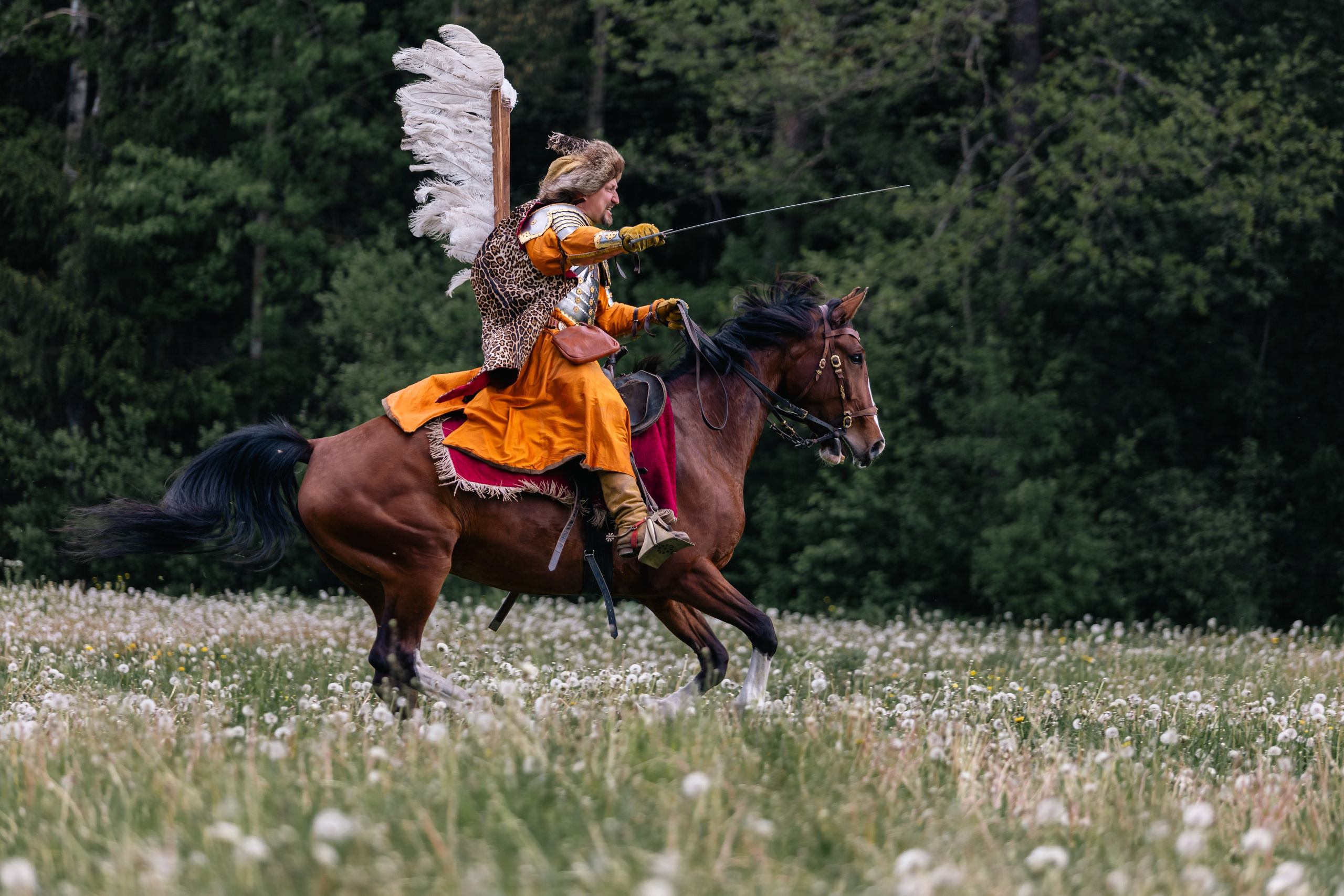 Золотая шпора. Маневры 17 века. Профессиональный интерьерный и репортажный фотограф Минск и РБ. Максим Орлов