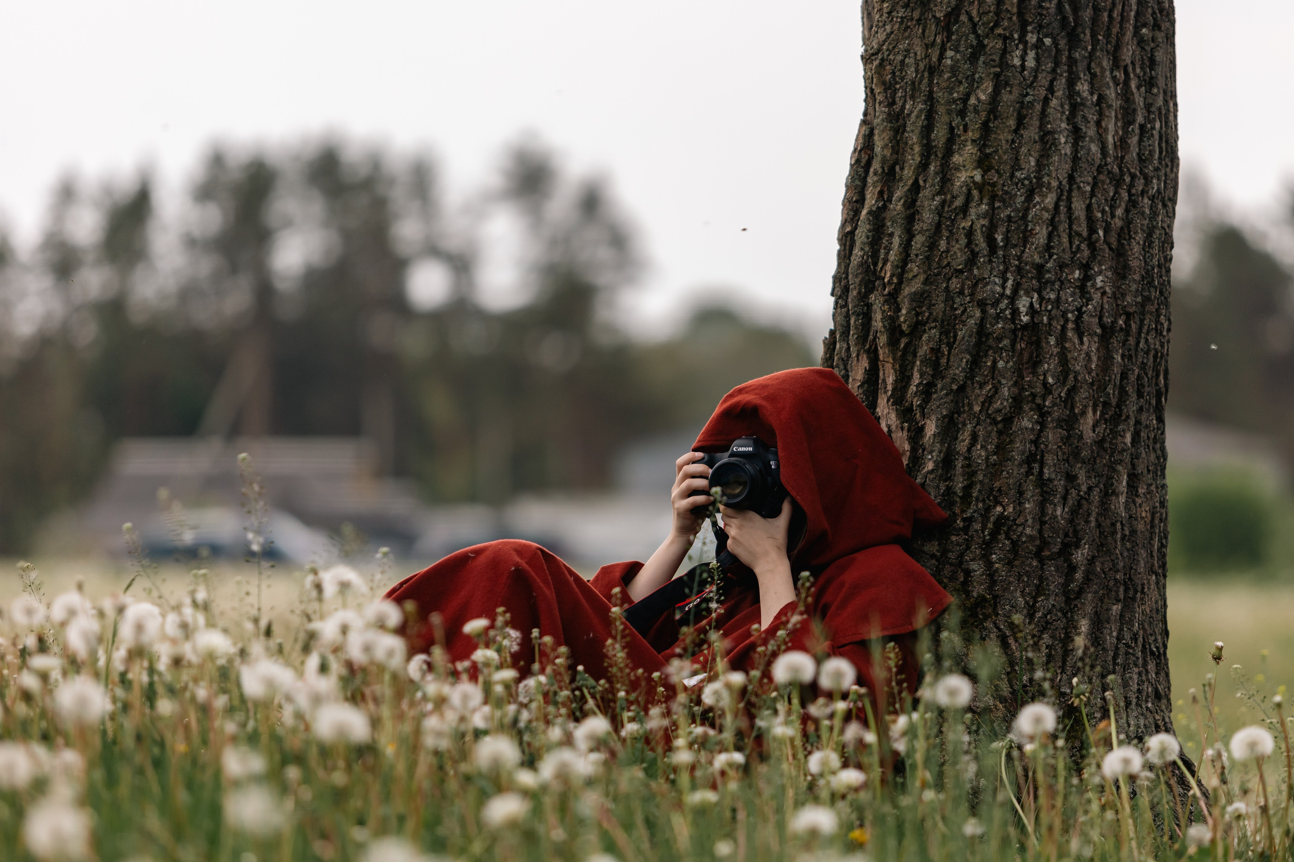 Золотая шпора. Маневры 17 века. Профессиональный интерьерный и репортажный фотограф Минск и РБ. Максим Орлов