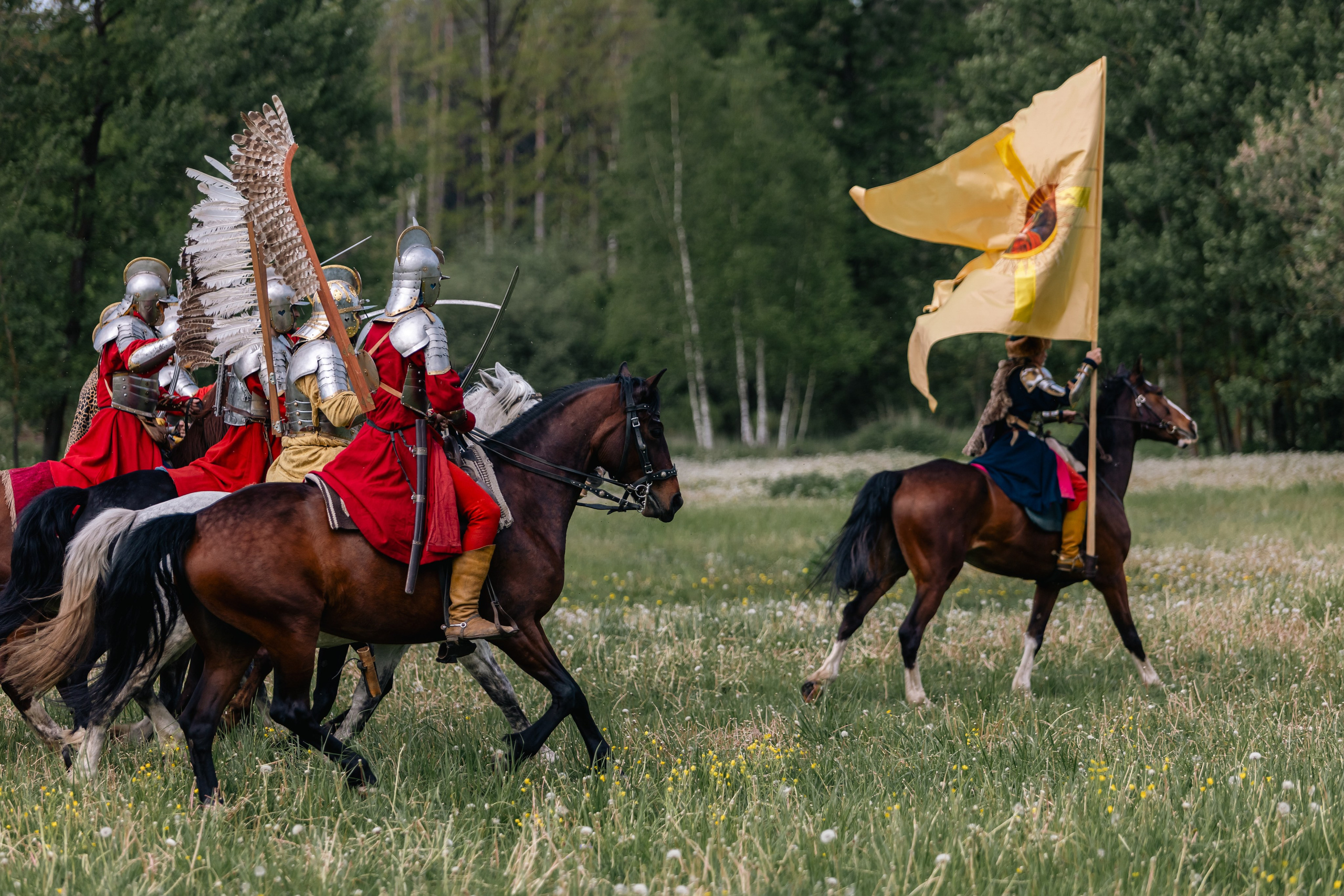 Золотая шпора. Маневры 17 века. Профессиональный интерьерный и репортажный фотограф Минск и РБ. Максим Орлов