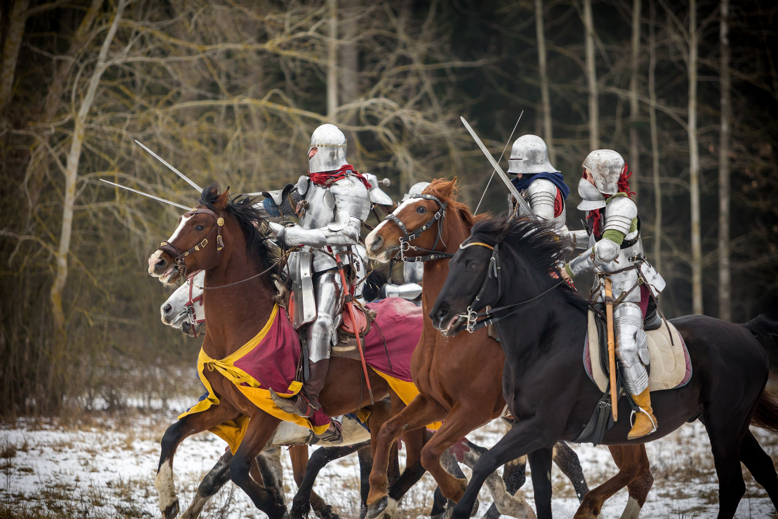 Зимние маневры «Золотой шпоры». 2025. Профессиональный интерьерный и репортажный фотограф Минск и РБ. Максим Орлов