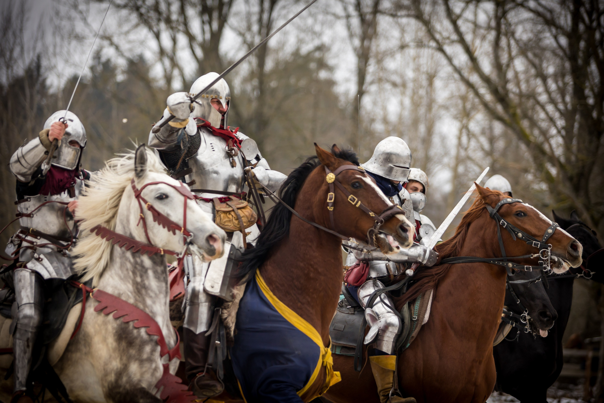 Зимние маневры «Золотой шпоры». 2025. Профессиональный интерьерный и репортажный фотограф Минск и РБ. Максим Орлов