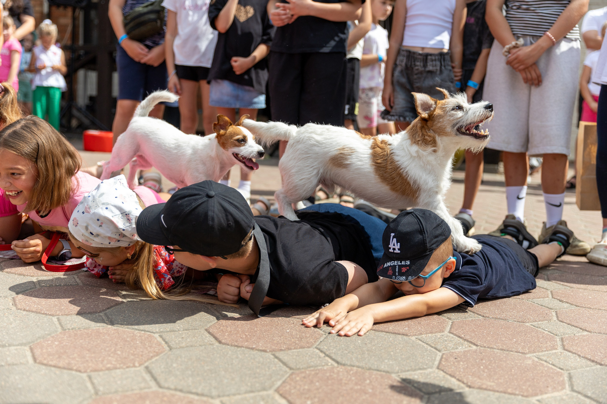 Детифест. Профессиональный интерьерный и репортажный фотограф Минск и РБ. Максим Орлов