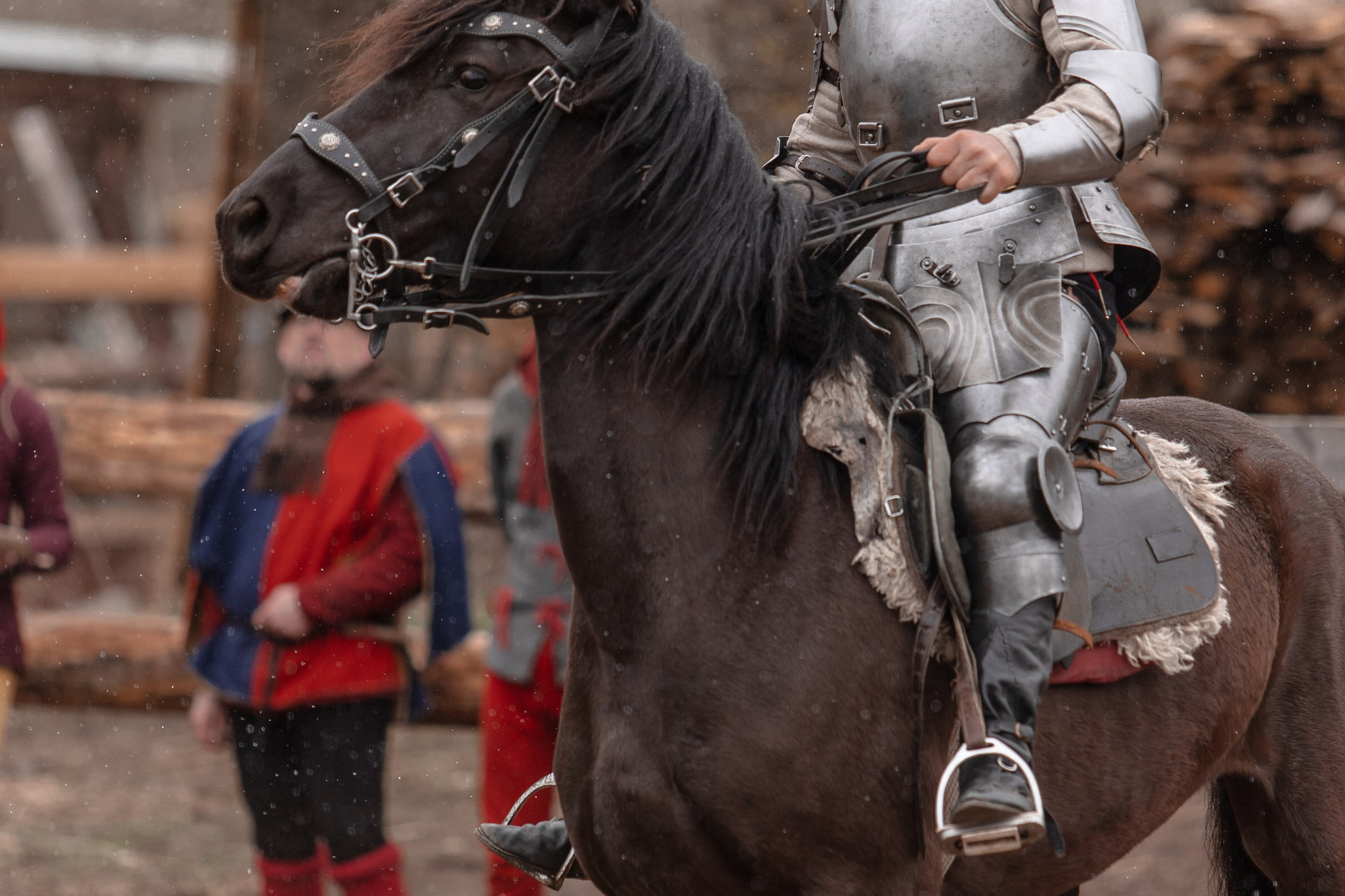 Турнир «Золотой шпоры». Профессиональный интерьерный и репортажный фотограф Минск и РБ. Максим Орлов
