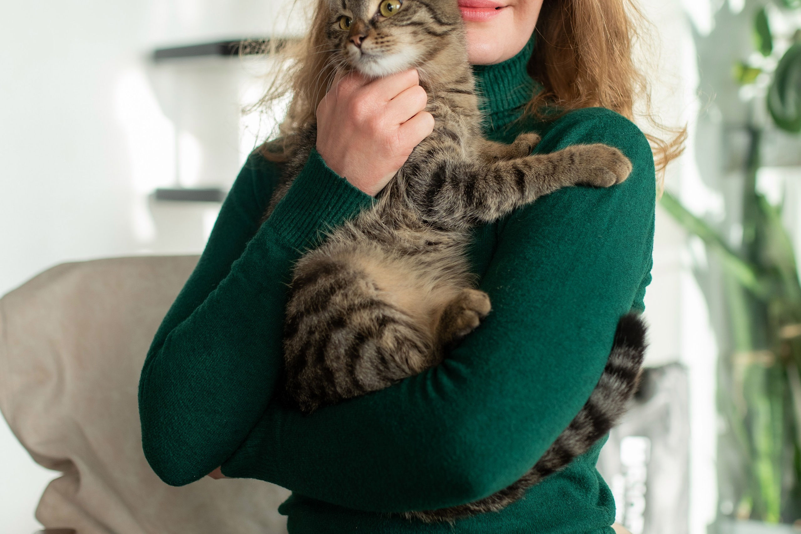 Котики для Old Cat. Профессиональный интерьерный и репортажный фотограф Минск и РБ. Максим Орлов