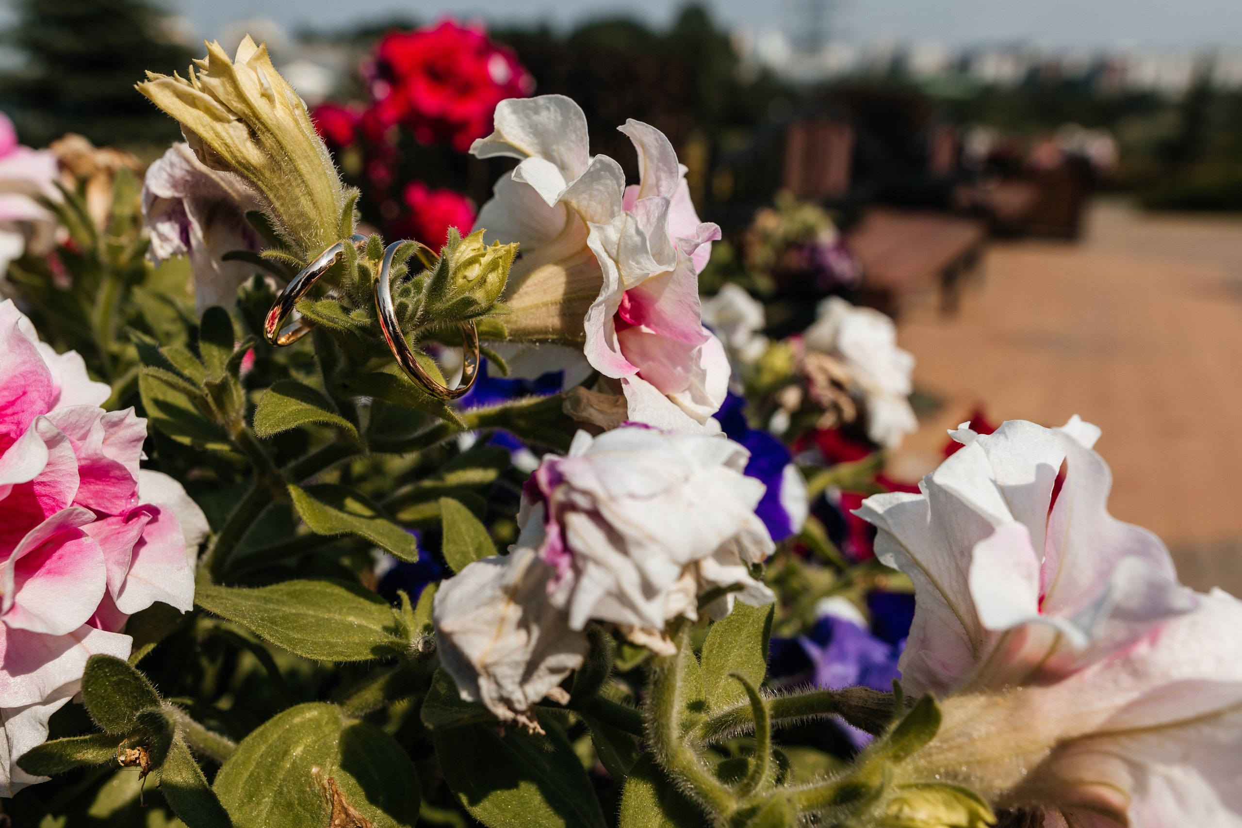 Свадебная фотосессия Рената и Натальи. Профессиональный интерьерный и репортажный фотограф Минск и РБ. Максим Орлов