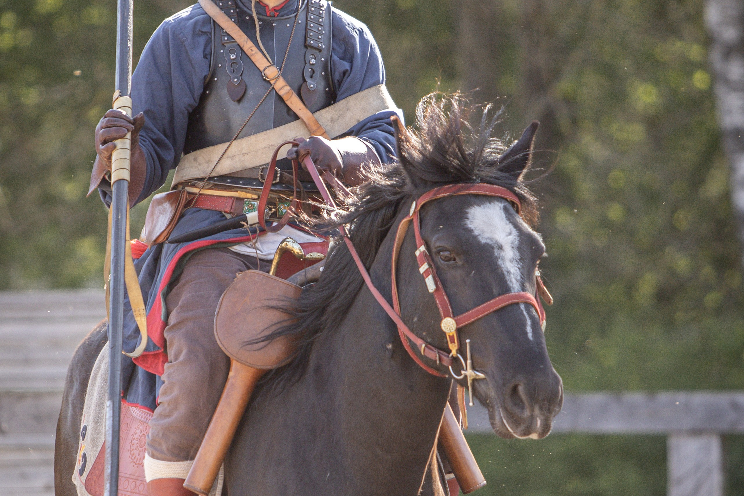 Золотая Шпора. Огнем и Мечем. День первый. Рыцарский турнир. Профессиональный интерьерный и репортажный фотограф Минск и РБ. Максим Орлов