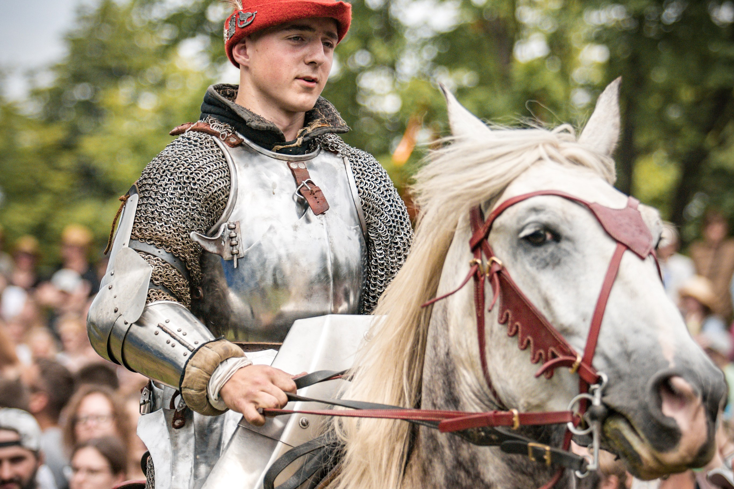 Наш Грюнвальд 2025. Рыцарский турнир. Профессиональный интерьерный и репортажный фотограф Минск и РБ. Максим Орлов