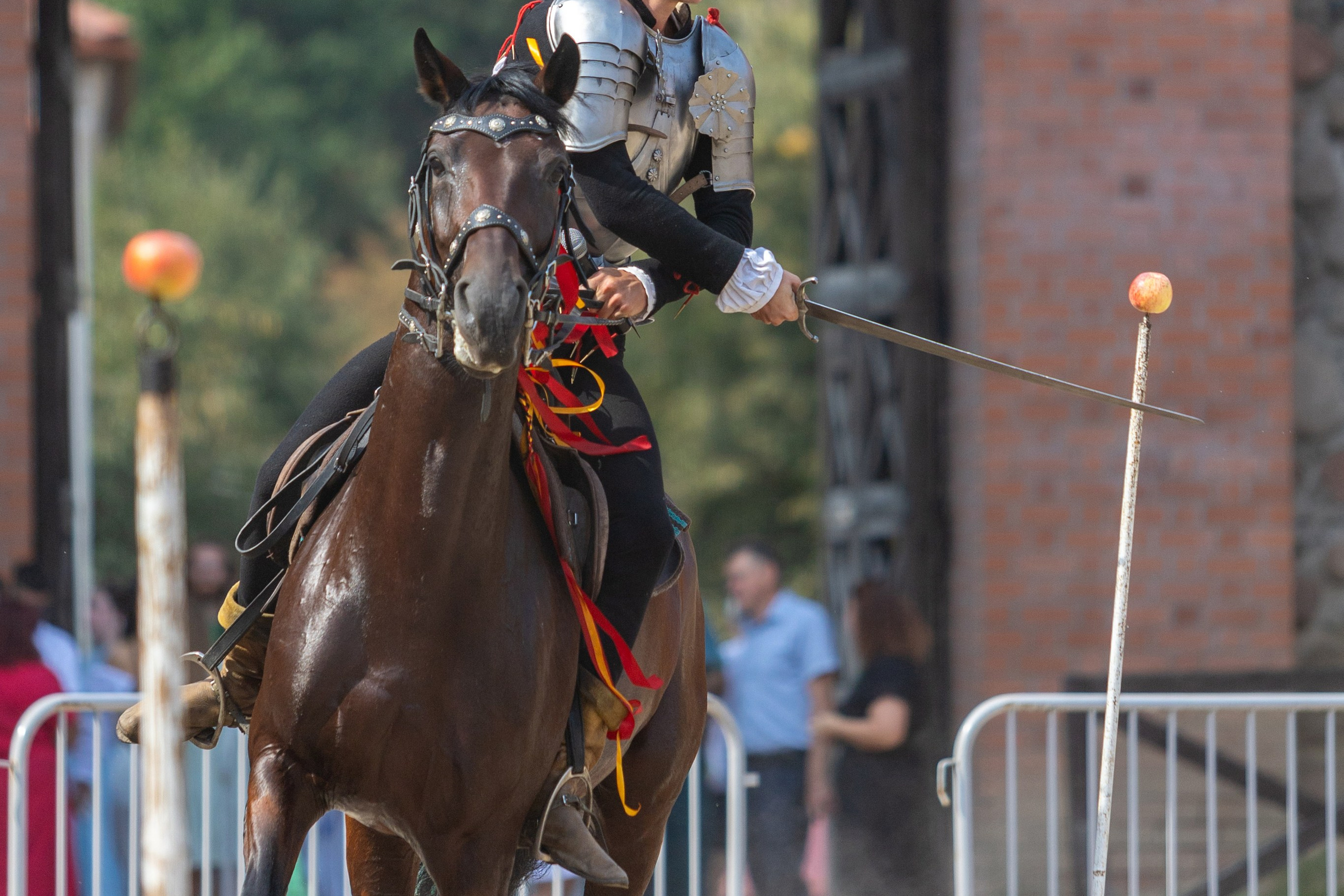 Выступление «Золотой шпоры» на празднике города Лиды. Профессиональный интерьерный и репортажный фотограф Минск и РБ. Максим Орлов
