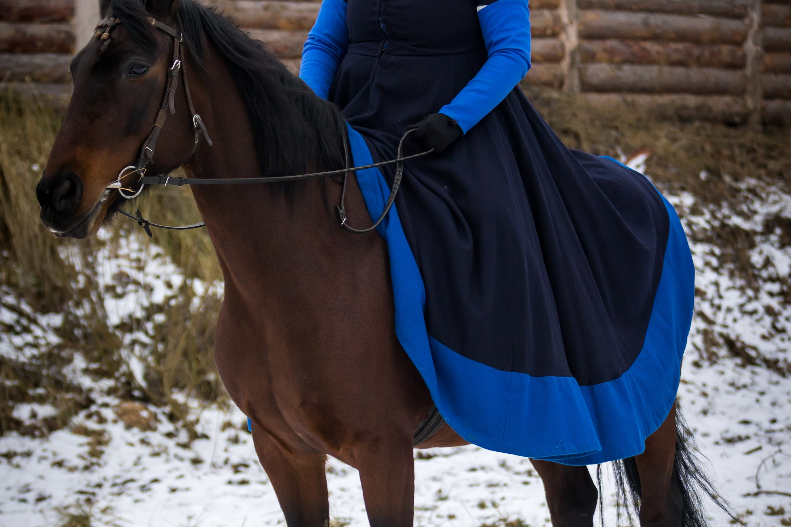 Зимние маневры «Золотой шпоры». 2025. Профессиональный интерьерный и репортажный фотограф Минск и РБ. Максим Орлов