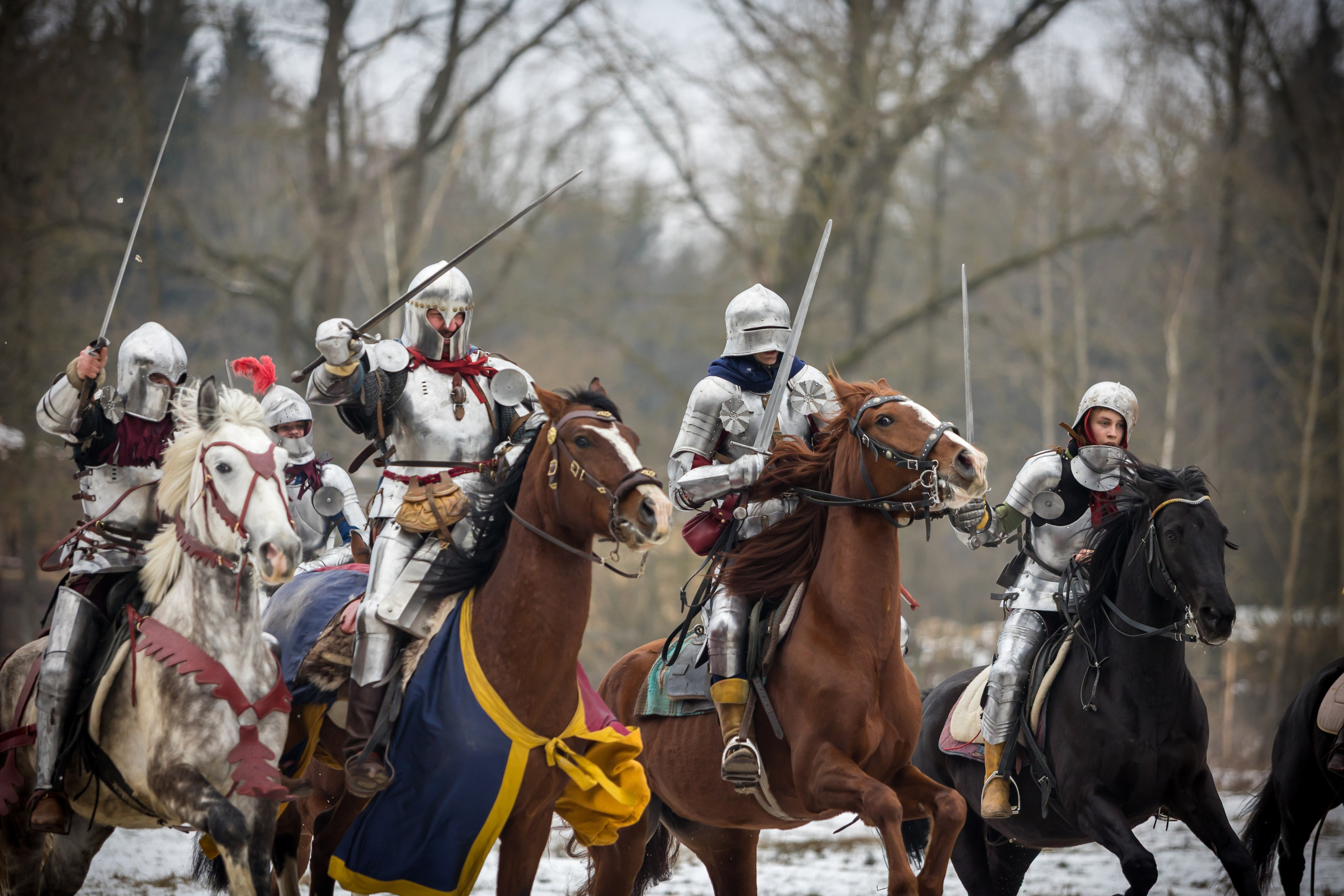 Зимние маневры «Золотой шпоры». 2025. Профессиональный интерьерный и репортажный фотограф Минск и РБ. Максим Орлов