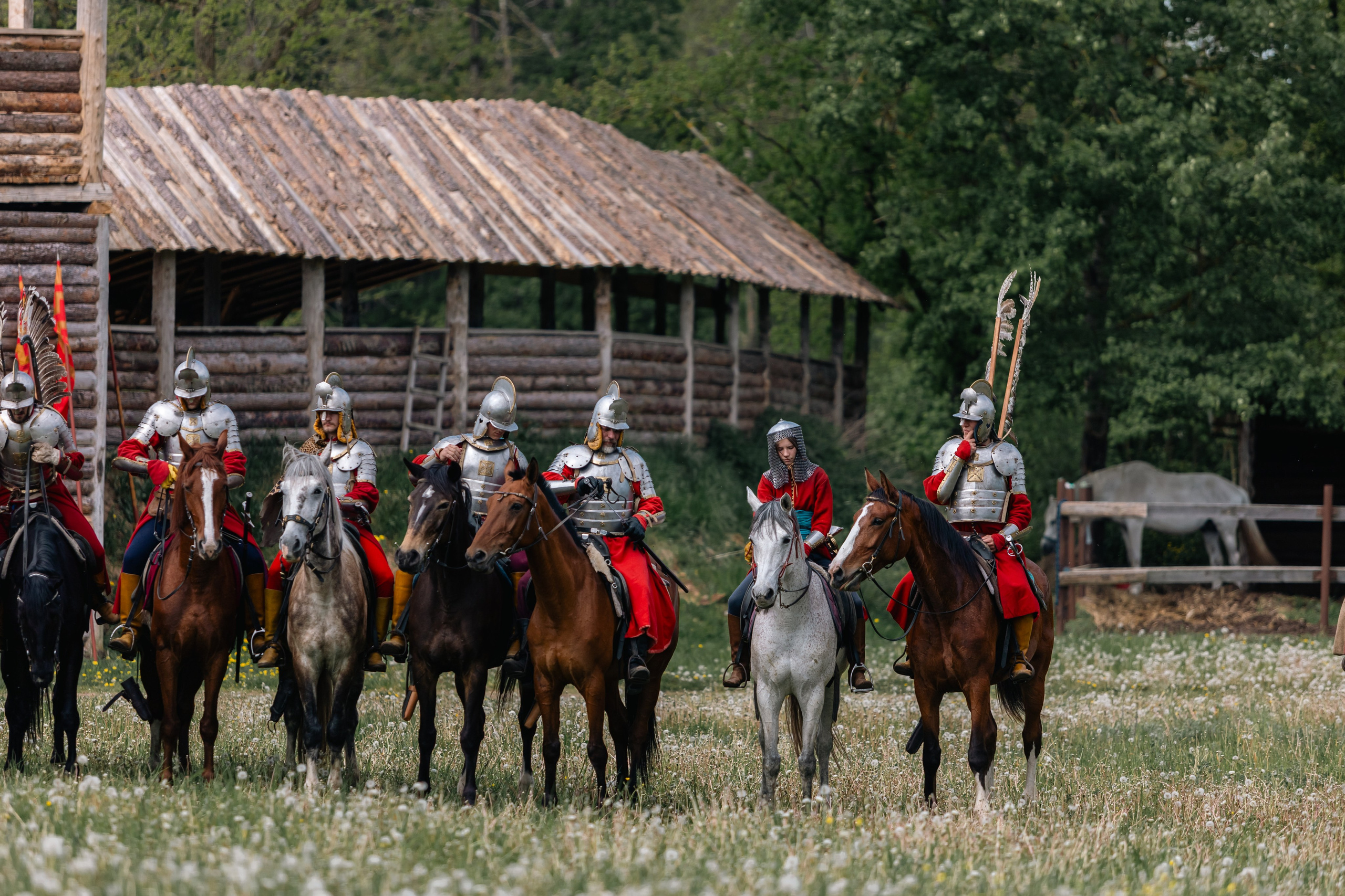 Золотая шпора. Маневры 17 века. Профессиональный интерьерный и репортажный фотограф Минск и РБ. Максим Орлов
