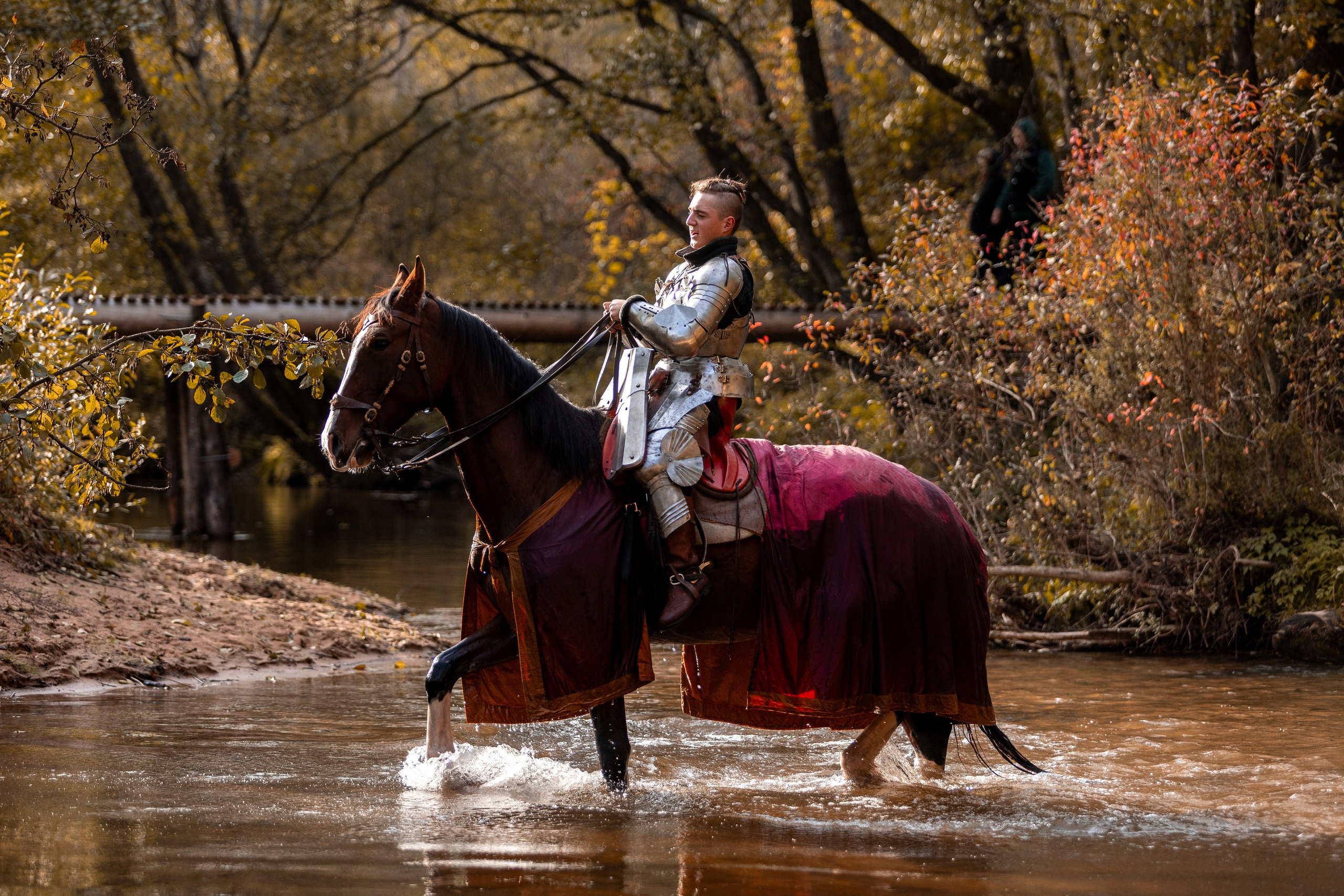 Рыцарская с Афиной. Дима Теслик. Профессиональный интерьерный и репортажный фотограф Минск и РБ. Максим Орлов