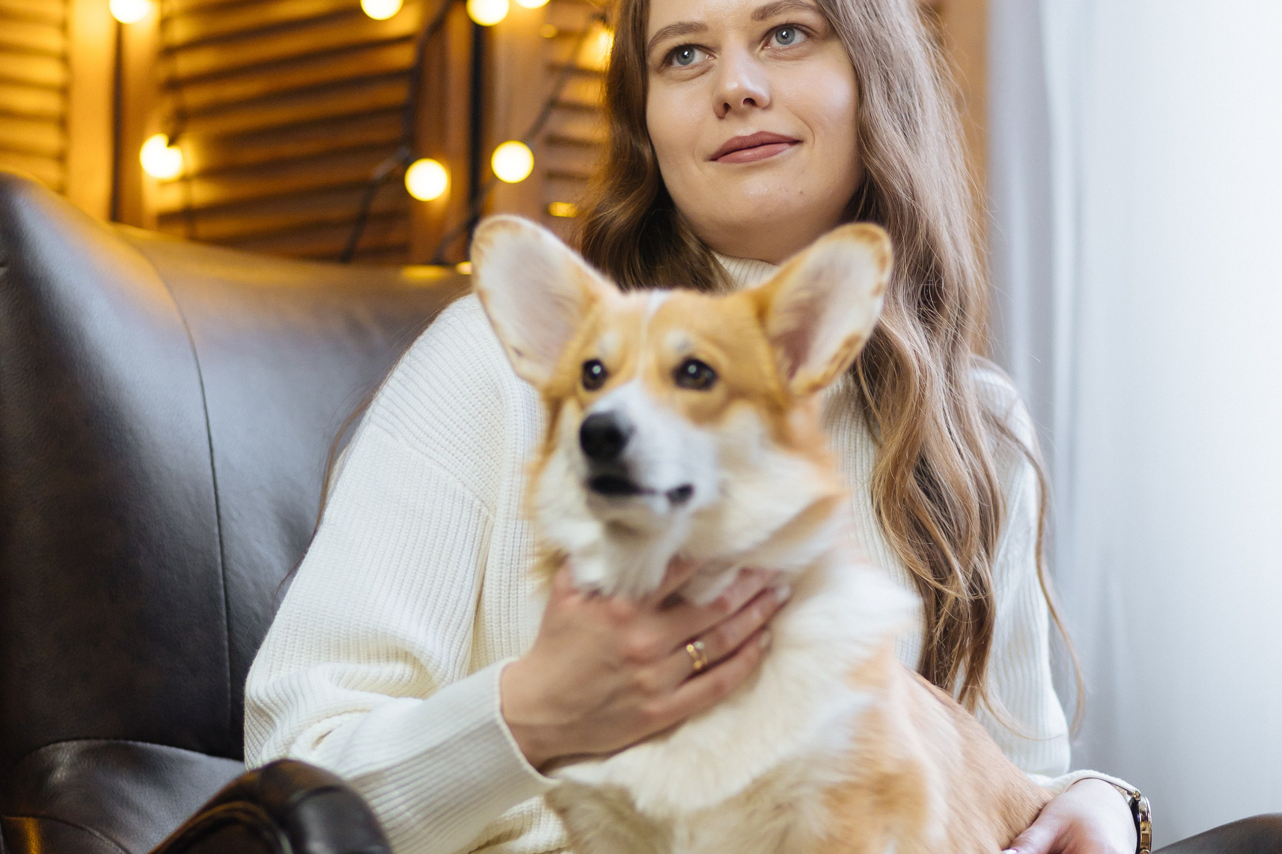 Елена и Володя (новогодняя). Профессиональный интерьерный и репортажный фотограф Минск и РБ. Максим Орлов
