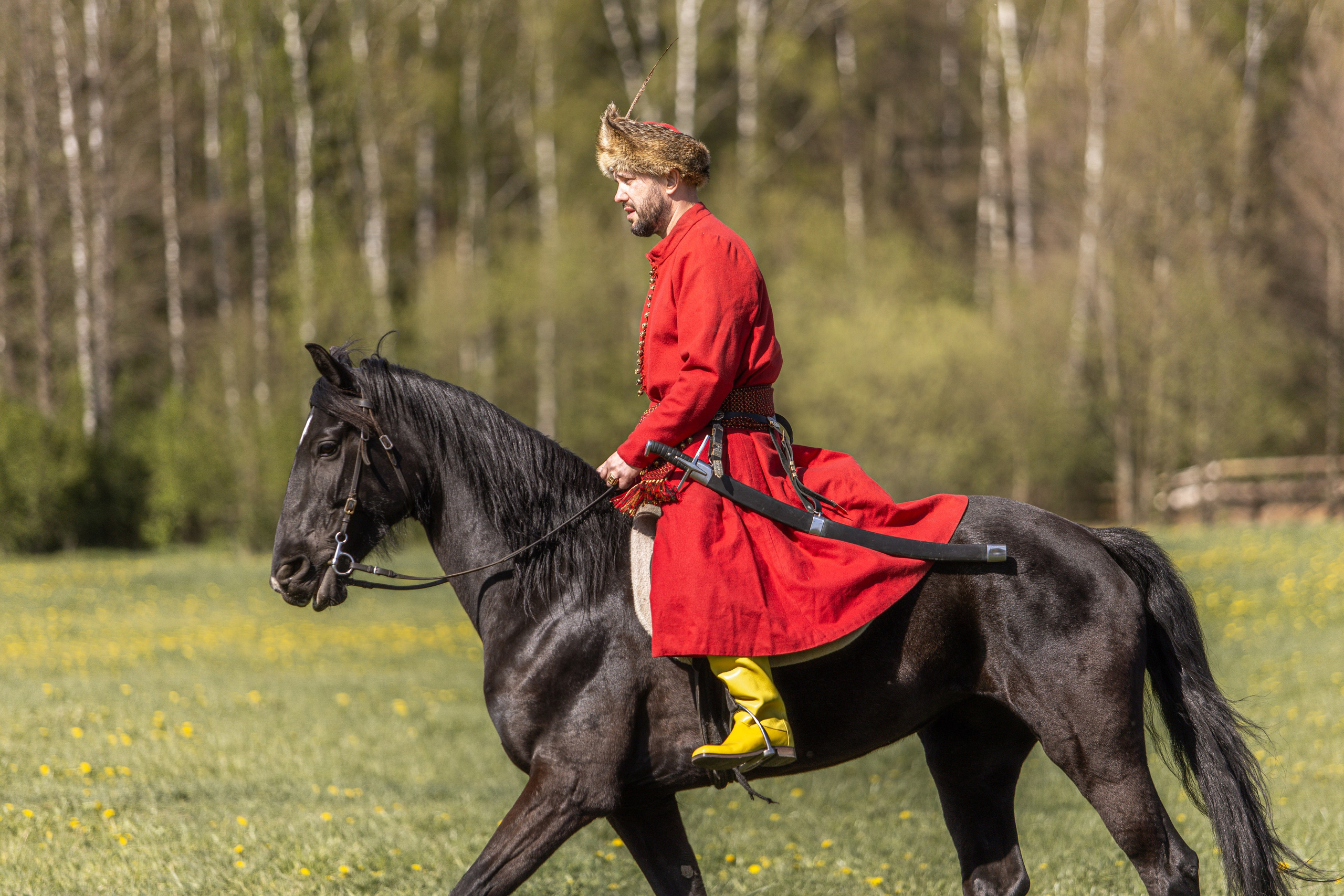 Золотая Шпора. Огнем и Мечем. День первый. Рыцарский турнир. Профессиональный интерьерный и репортажный фотограф Минск и РБ. Максим Орлов