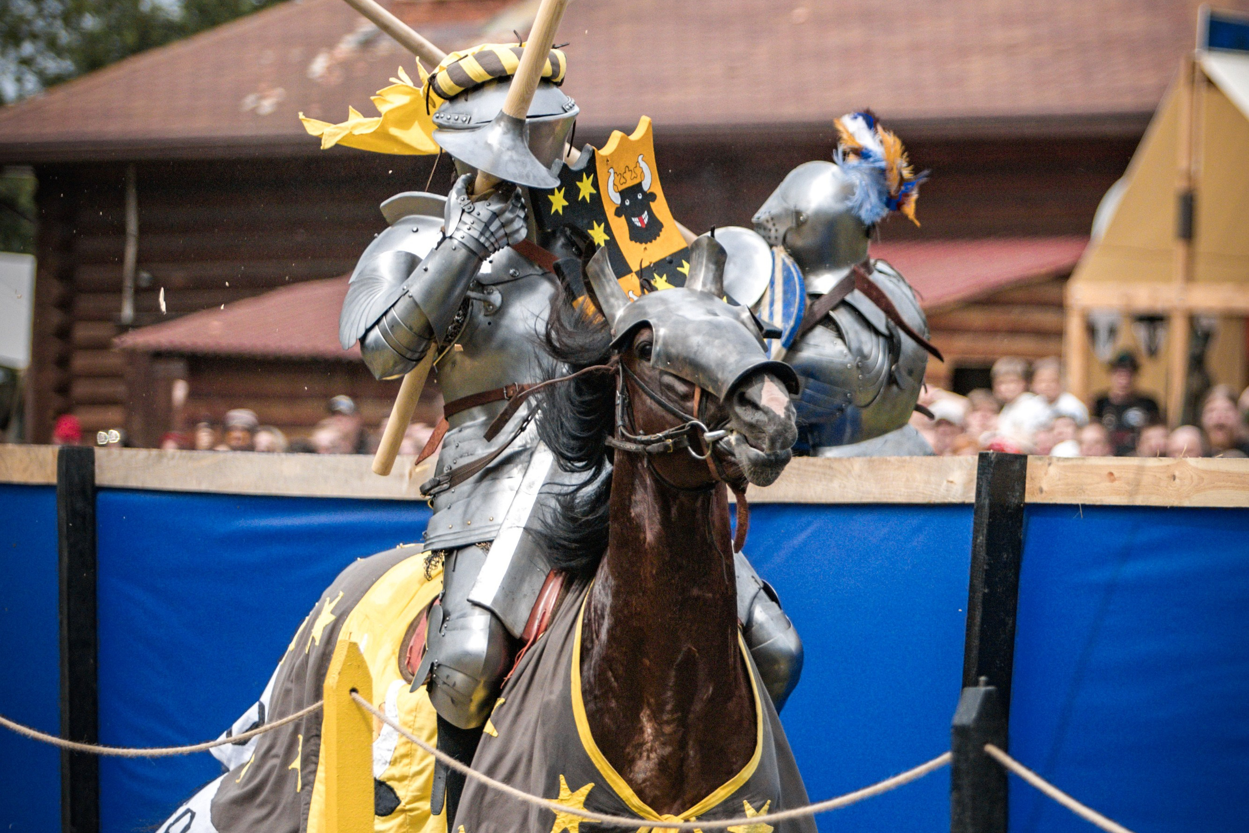 Наш Грюнвальд 2025. Рыцарский турнир. Профессиональный интерьерный и репортажный фотограф Минск и РБ. Максим Орлов