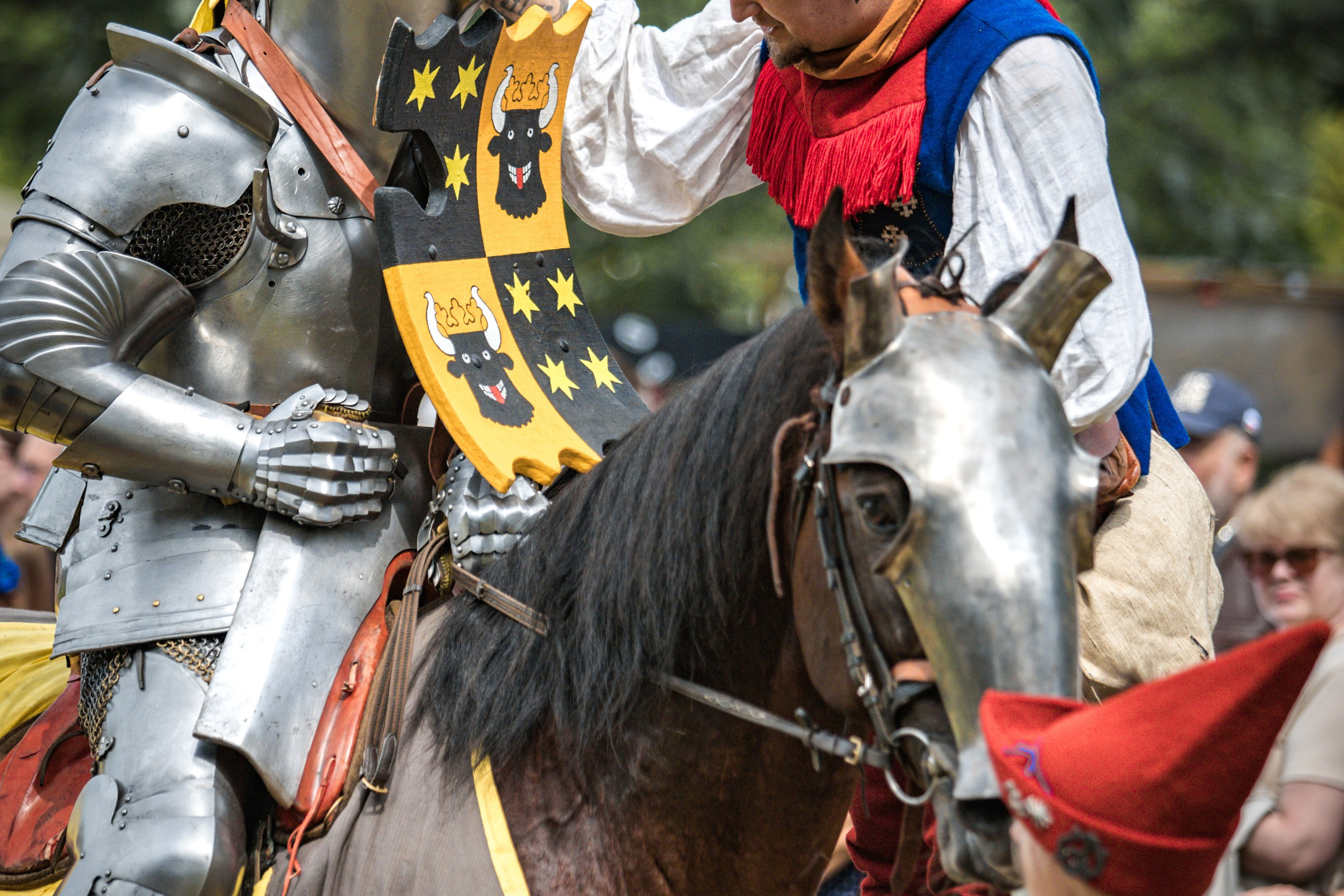 Наш Грюнвальд 2025. Рыцарский турнир. Профессиональный интерьерный и репортажный фотограф Минск и РБ. Максим Орлов