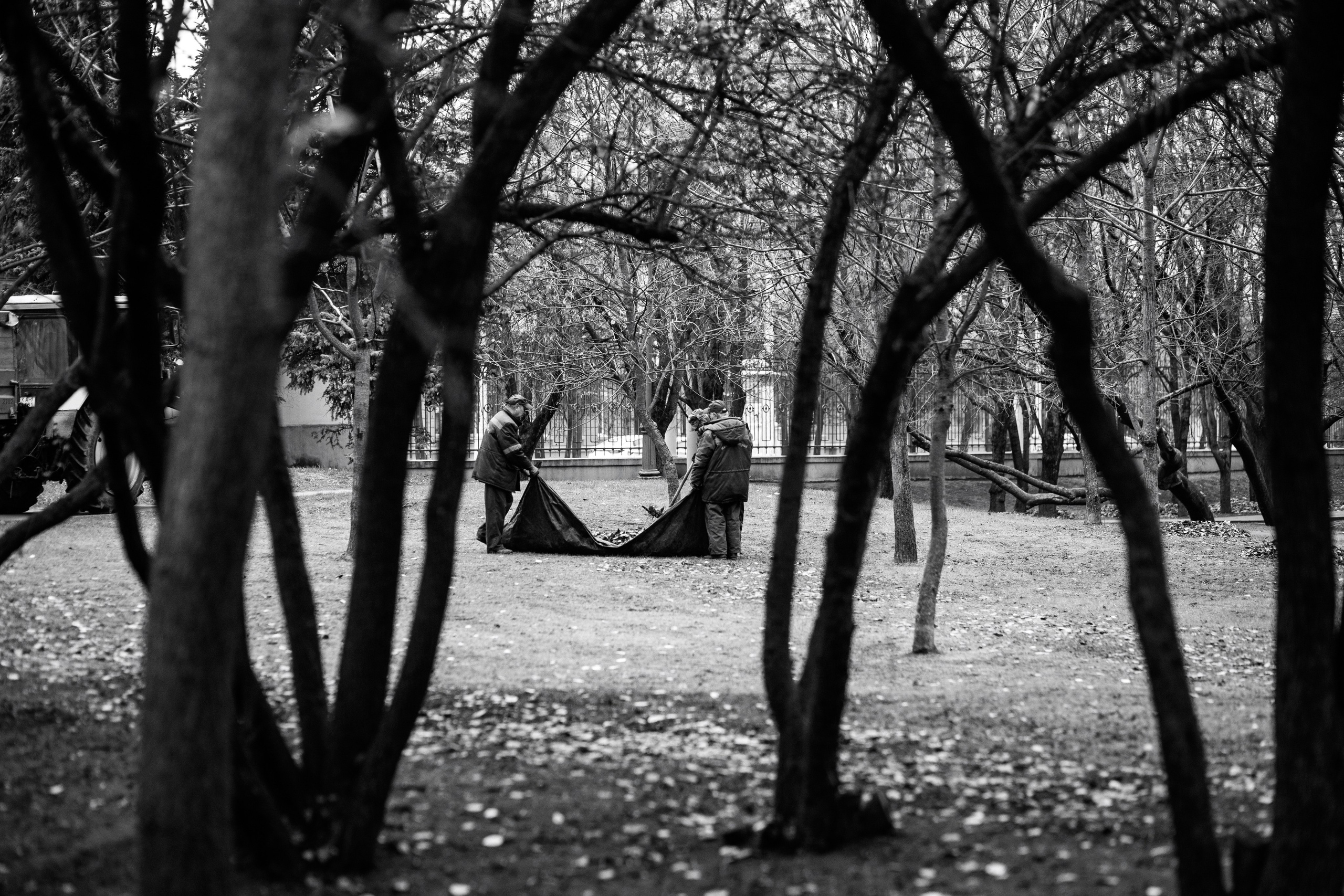 Фотосъемка на улицах. Профессиональный интерьерный и репортажный фотограф Минск и РБ. Максим Орлов