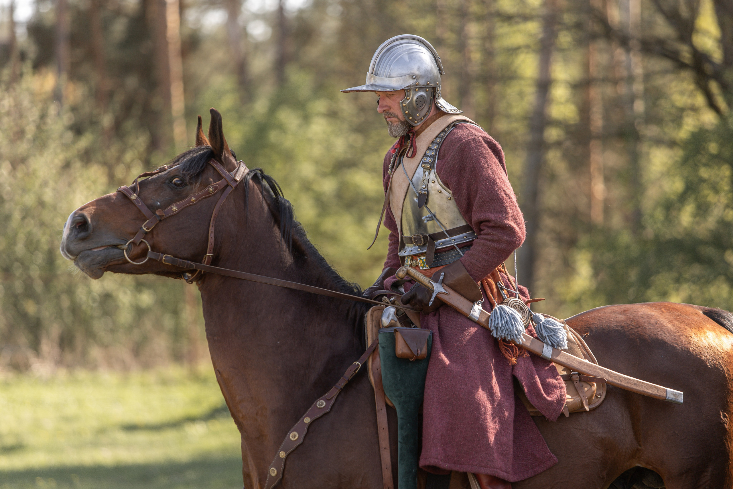 Золотая Шпора. Огнем и Мечем. День первый. Рыцарский турнир. Профессиональный интерьерный и репортажный фотограф Минск и РБ. Максим Орлов