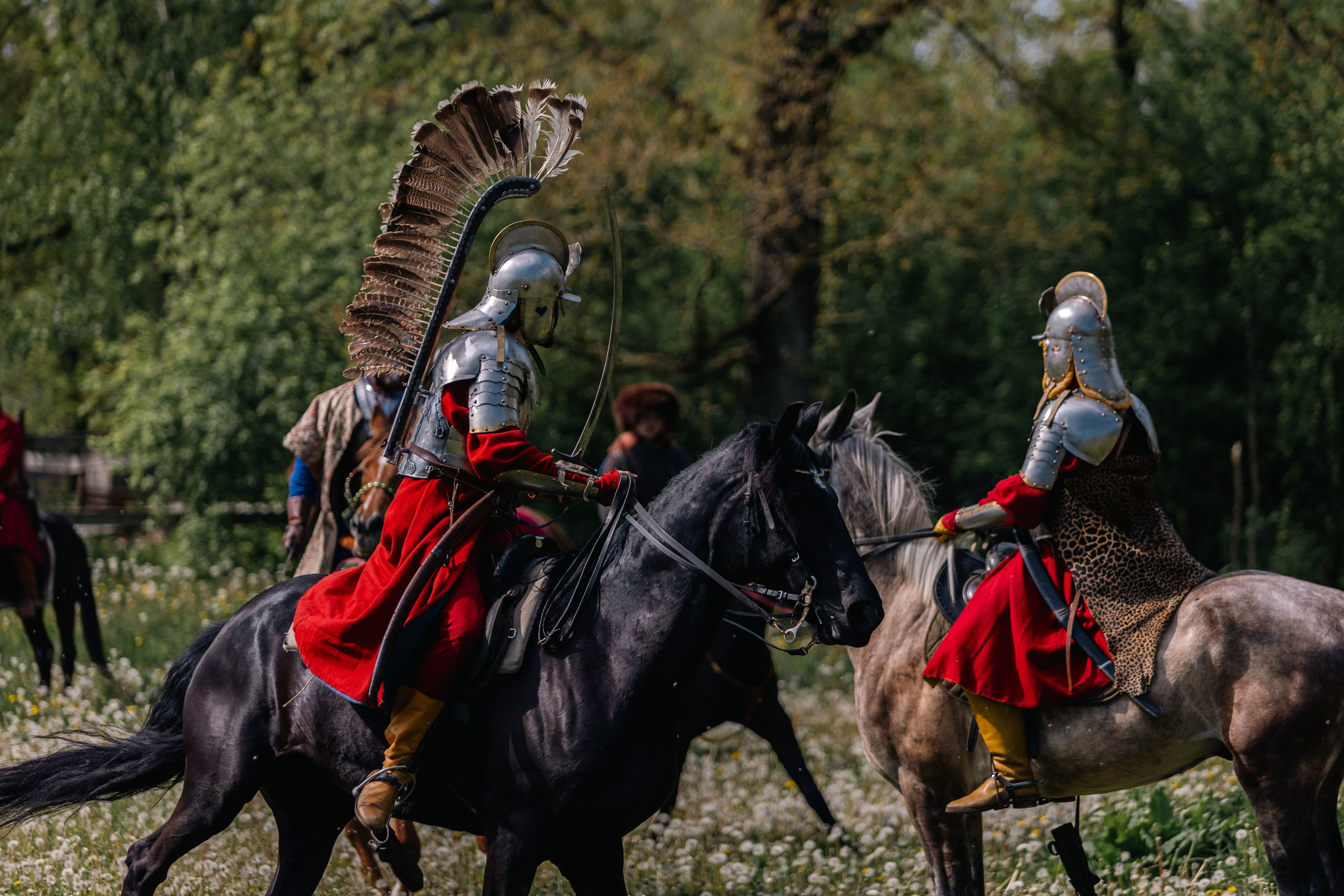 Золотая шпора. Маневры 17 века. Профессиональный интерьерный и репортажный фотограф Минск и РБ. Максим Орлов