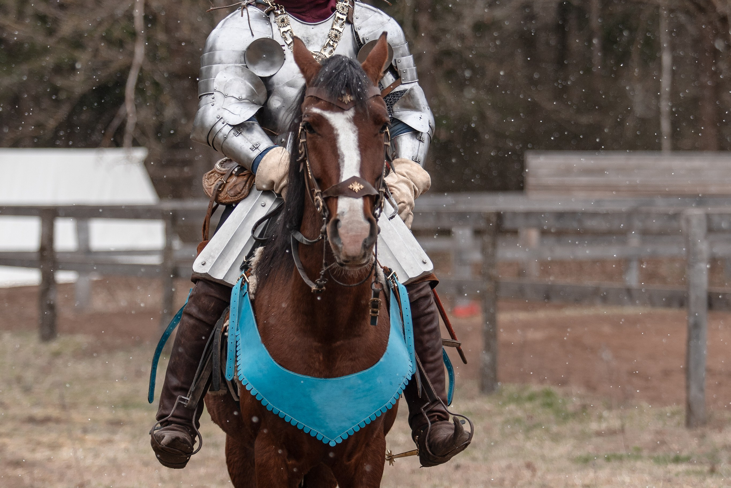 Турнир «Золотой шпоры». Профессиональный интерьерный и репортажный фотограф Минск и РБ. Максим Орлов