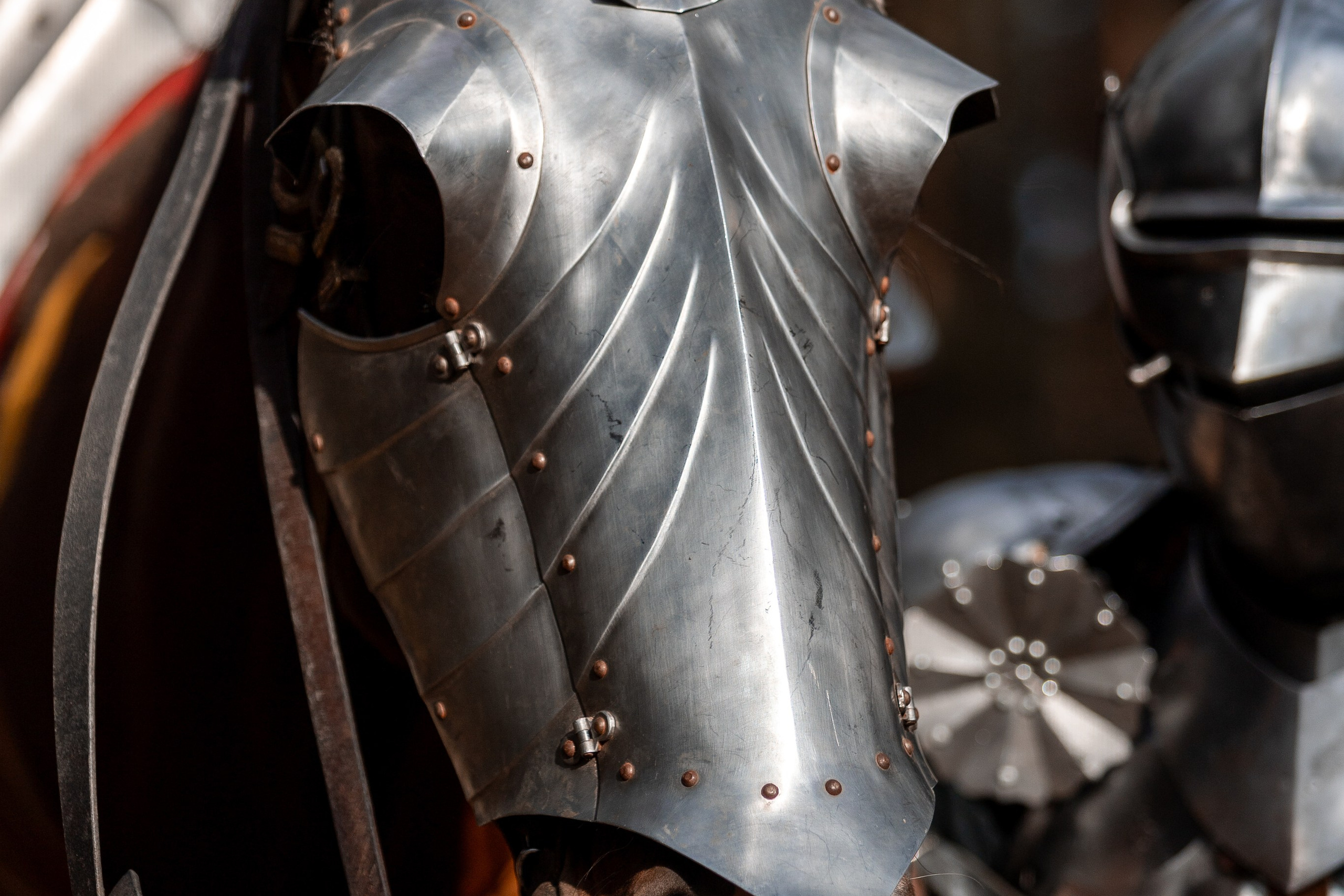 Рыцарская с Афиной. Дима Теслик. Профессиональный интерьерный и репортажный фотограф Минск и РБ. Максим Орлов