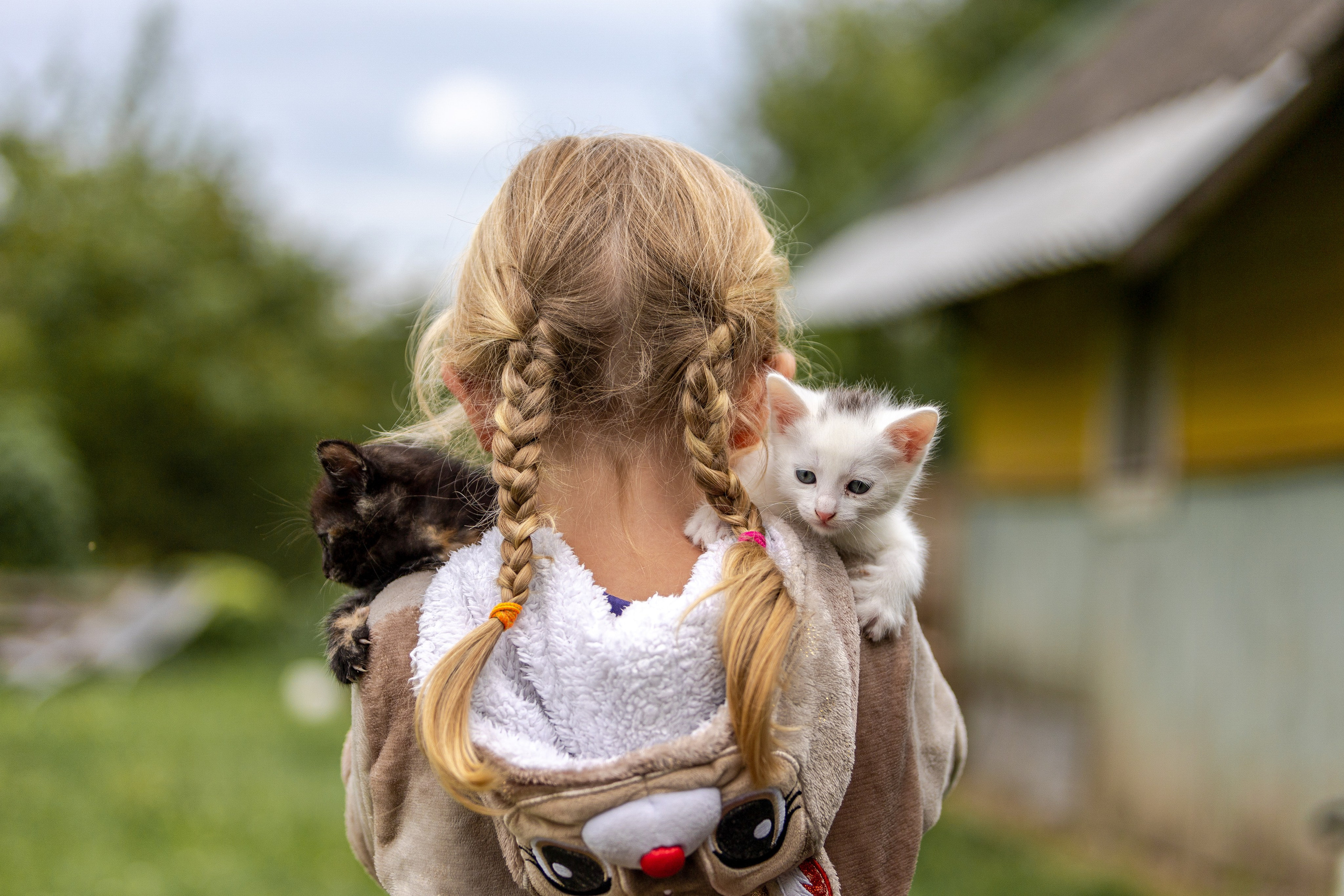 Аня. Профессиональный интерьерный и репортажный фотограф Минск и РБ. Максим Орлов