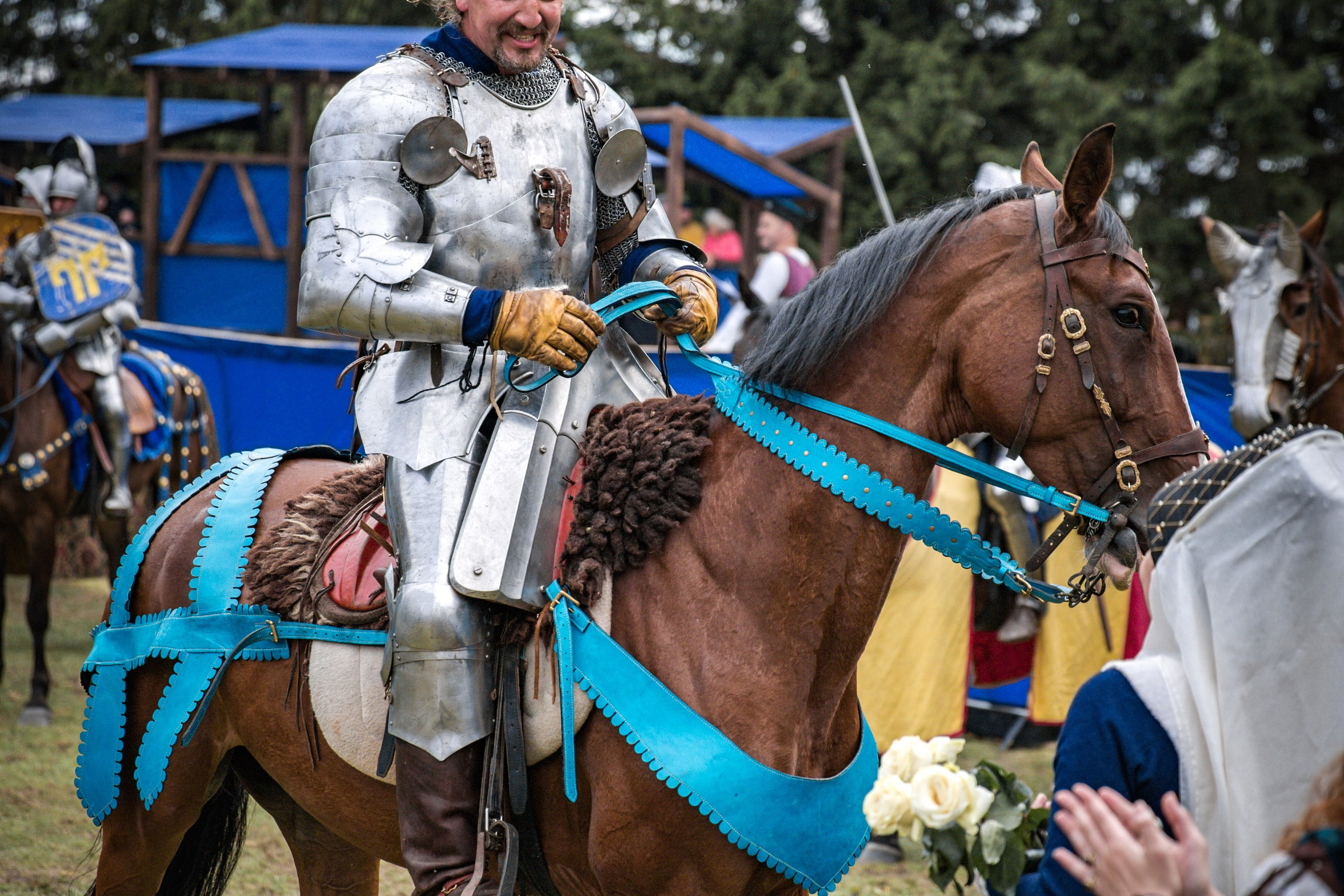 Наш Грюнвальд 2025. Рыцарский турнир. Профессиональный интерьерный и репортажный фотограф Минск и РБ. Максим Орлов