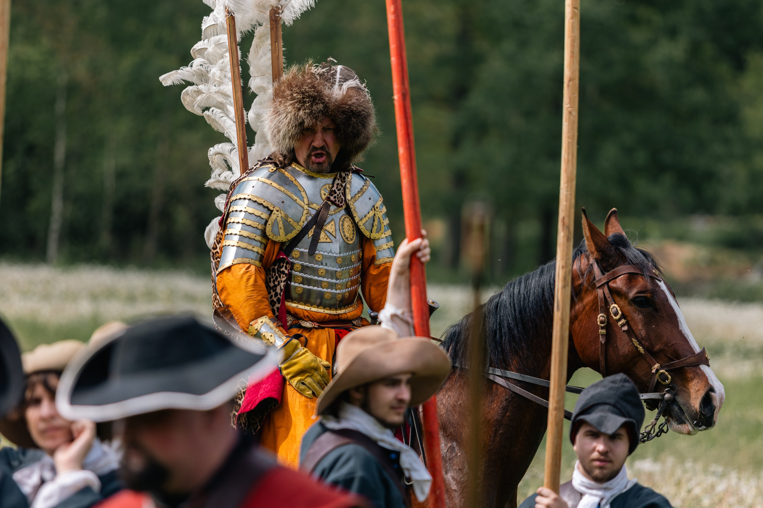 Золотая шпора. Маневры 17 века. Профессиональный интерьерный и репортажный фотограф Минск и РБ. Максим Орлов