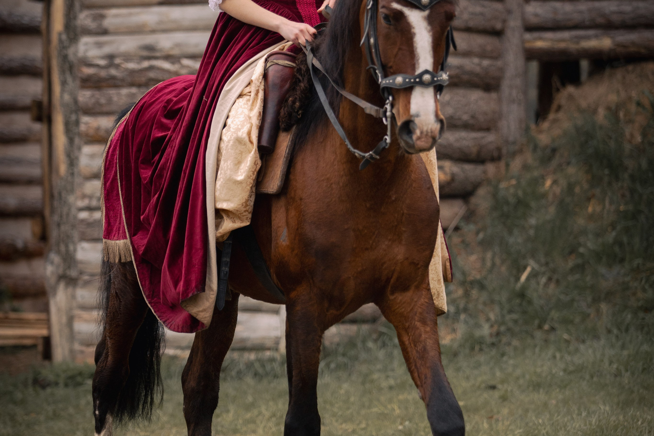 Золотая шпора. Огнем и мечем. День третий. Бой на поле. Профессиональный интерьерный и репортажный фотограф Минск и РБ. Максим Орлов