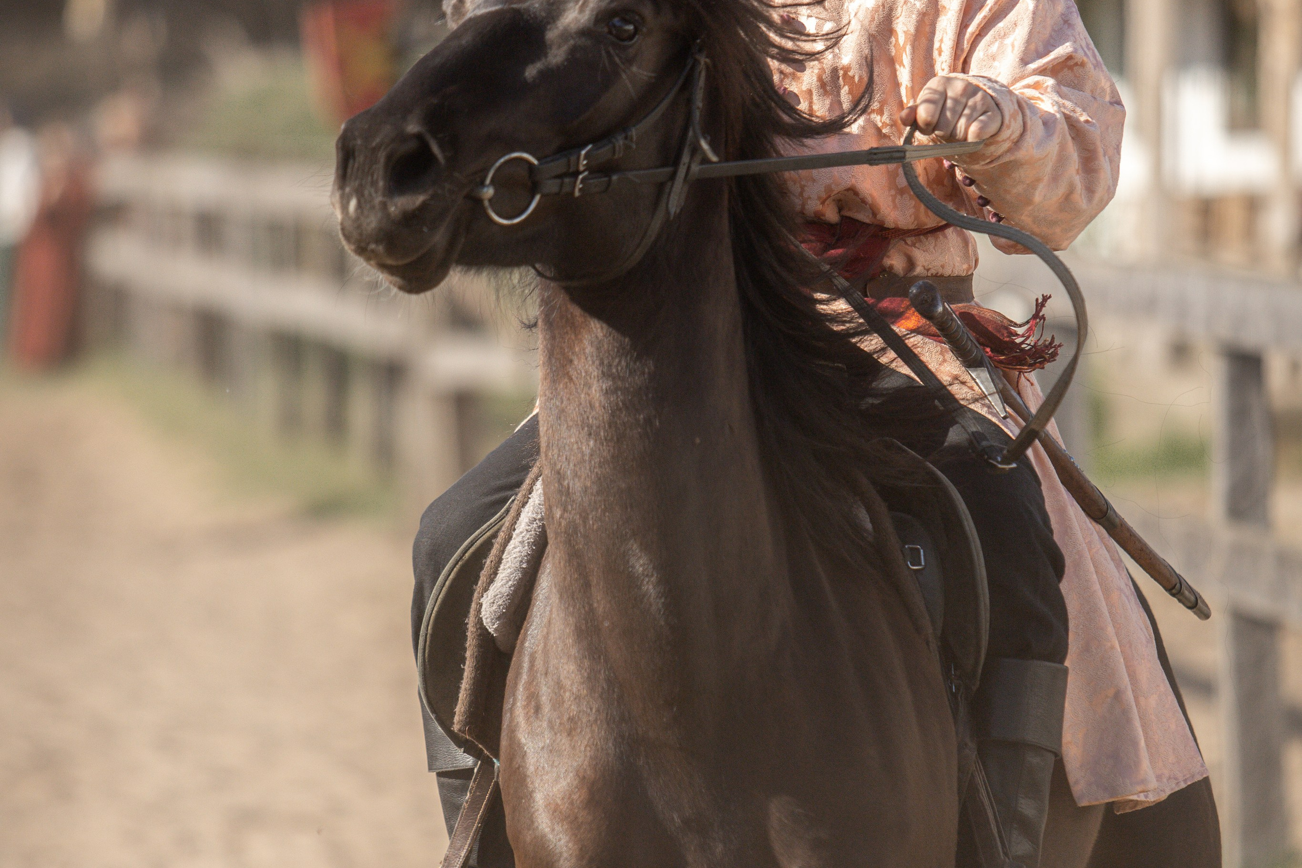 Золотая Шпора. Огнем и Мечем. День первый. Рыцарский турнир. Профессиональный интерьерный и репортажный фотограф Минск и РБ. Максим Орлов
