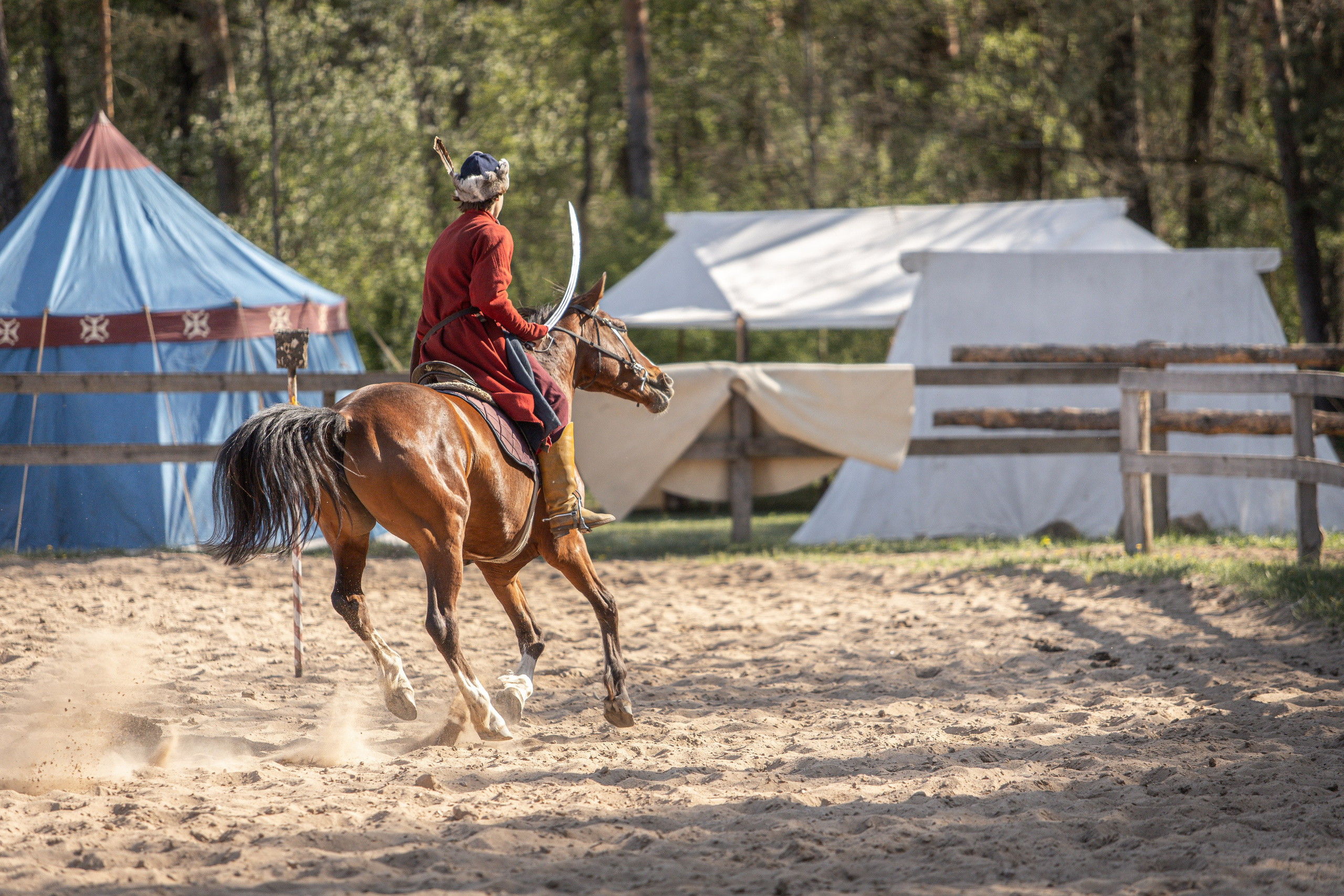 Золотая Шпора. Огнем и Мечем. День первый. Рыцарский турнир. Профессиональный интерьерный и репортажный фотограф Минск и РБ. Максим Орлов