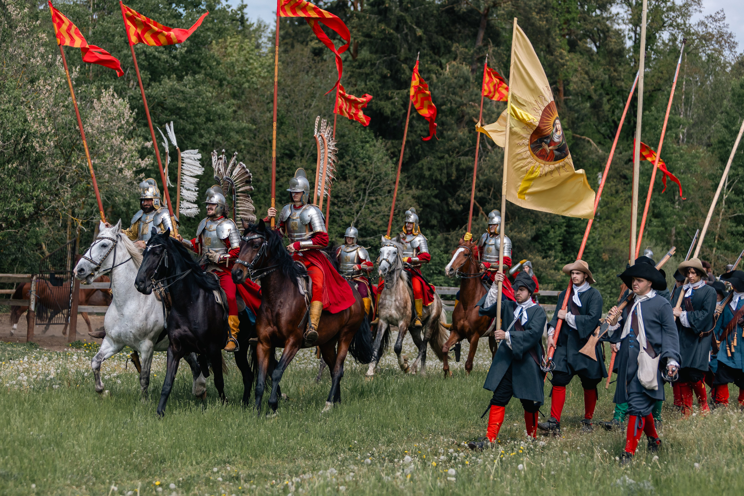 Золотая шпора. Маневры 17 века. Профессиональный интерьерный и репортажный фотограф Минск и РБ. Максим Орлов