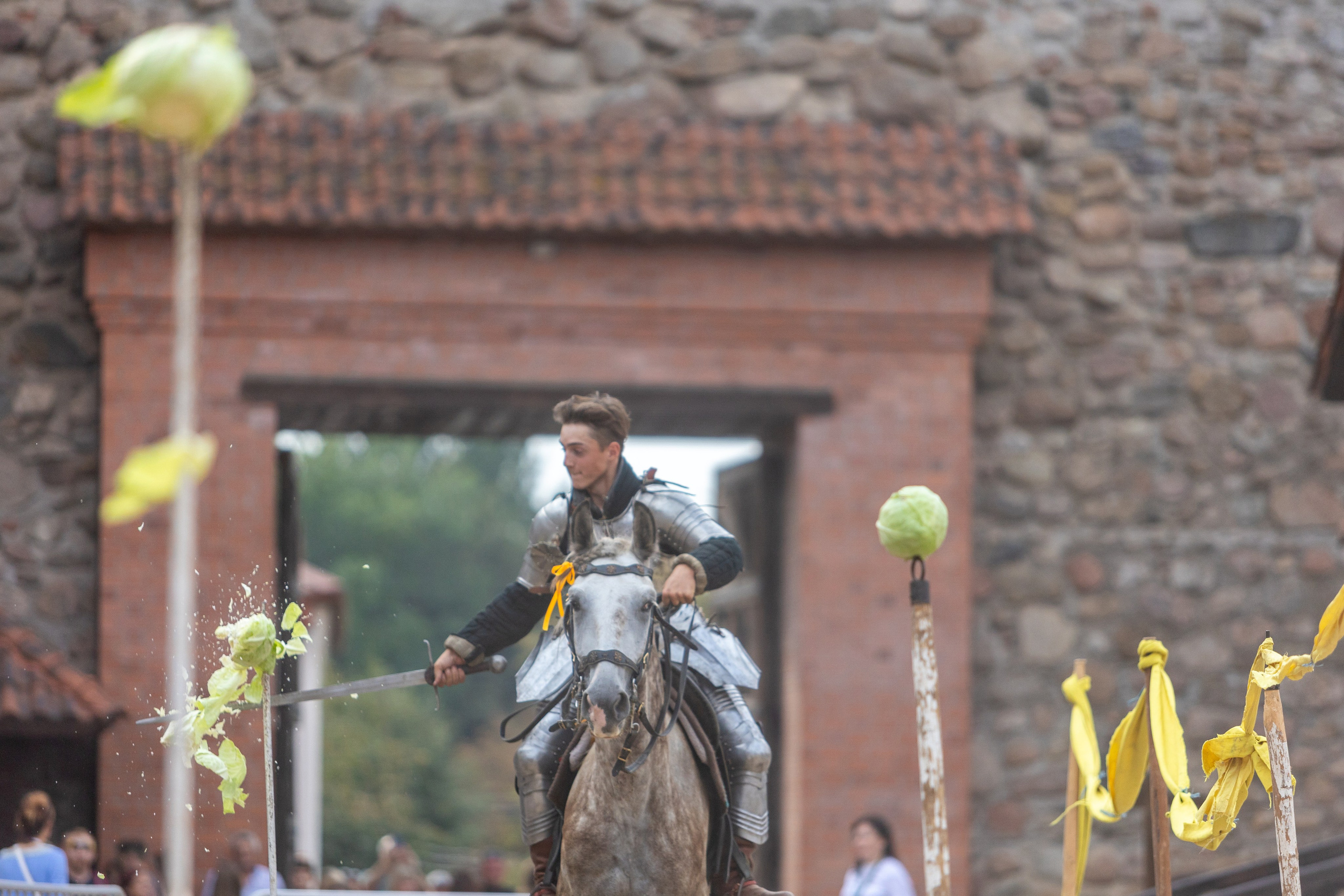 Выступление «Золотой шпоры» на празднике города Лиды. Профессиональный интерьерный и репортажный фотограф Минск и РБ. Максим Орлов