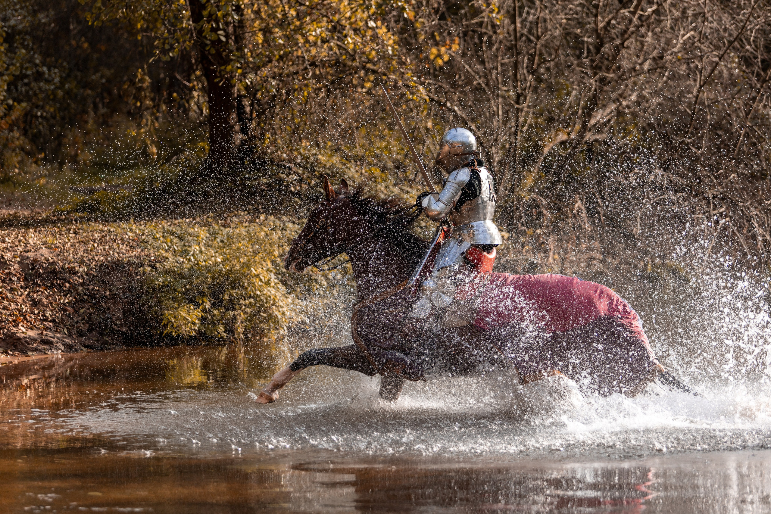 Рыцарская с Афиной. Дима Теслик. Профессиональный интерьерный и репортажный фотограф Минск и РБ. Максим Орлов