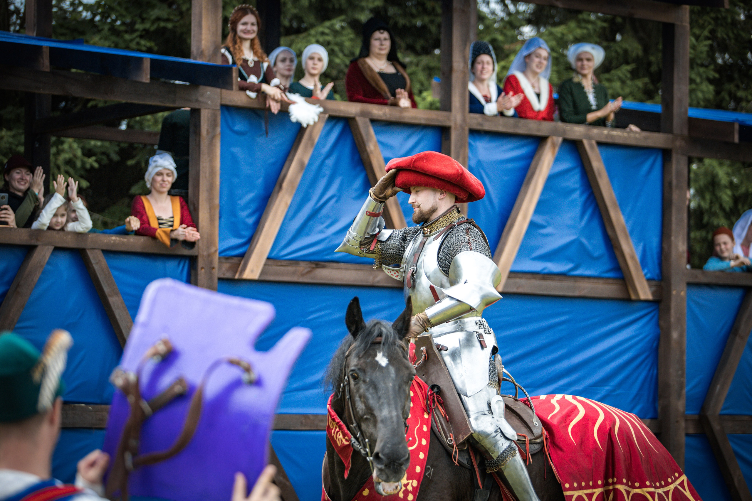 Наш Грюнвальд 2025. Рыцарский турнир. Профессиональный интерьерный и репортажный фотограф Минск и РБ. Максим Орлов