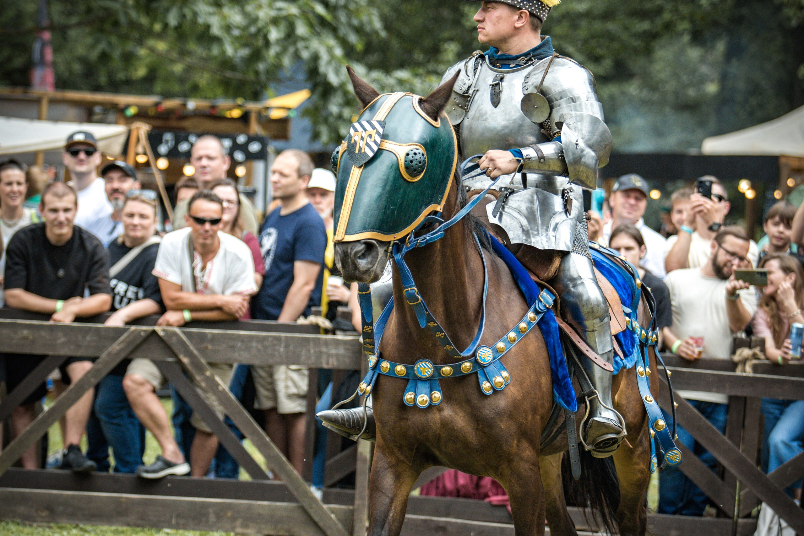 Наш Грюнвальд 2025. Рыцарский турнир. Профессиональный интерьерный и репортажный фотограф Минск и РБ. Максим Орлов