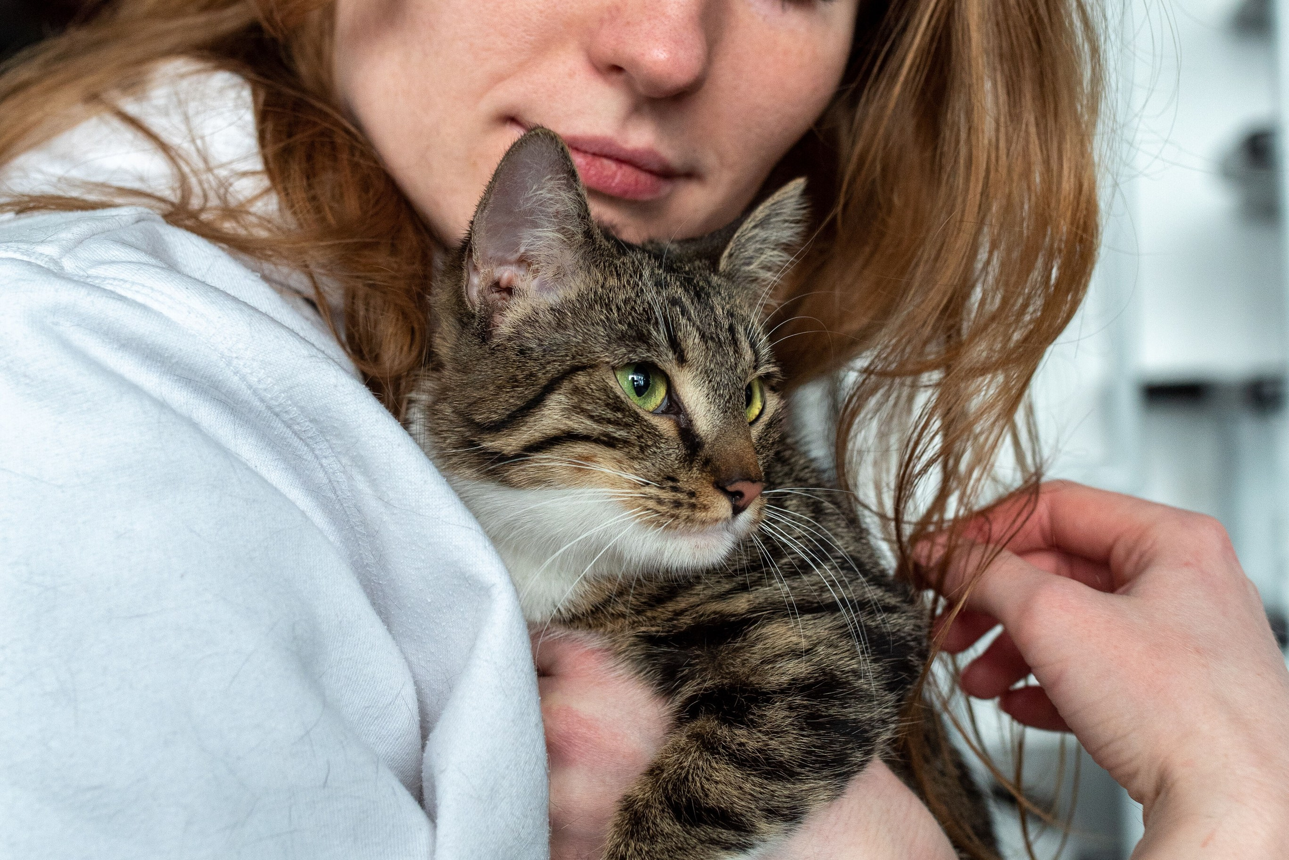 Котики для Old Cat. Профессиональный интерьерный и репортажный фотограф Минск и РБ. Максим Орлов