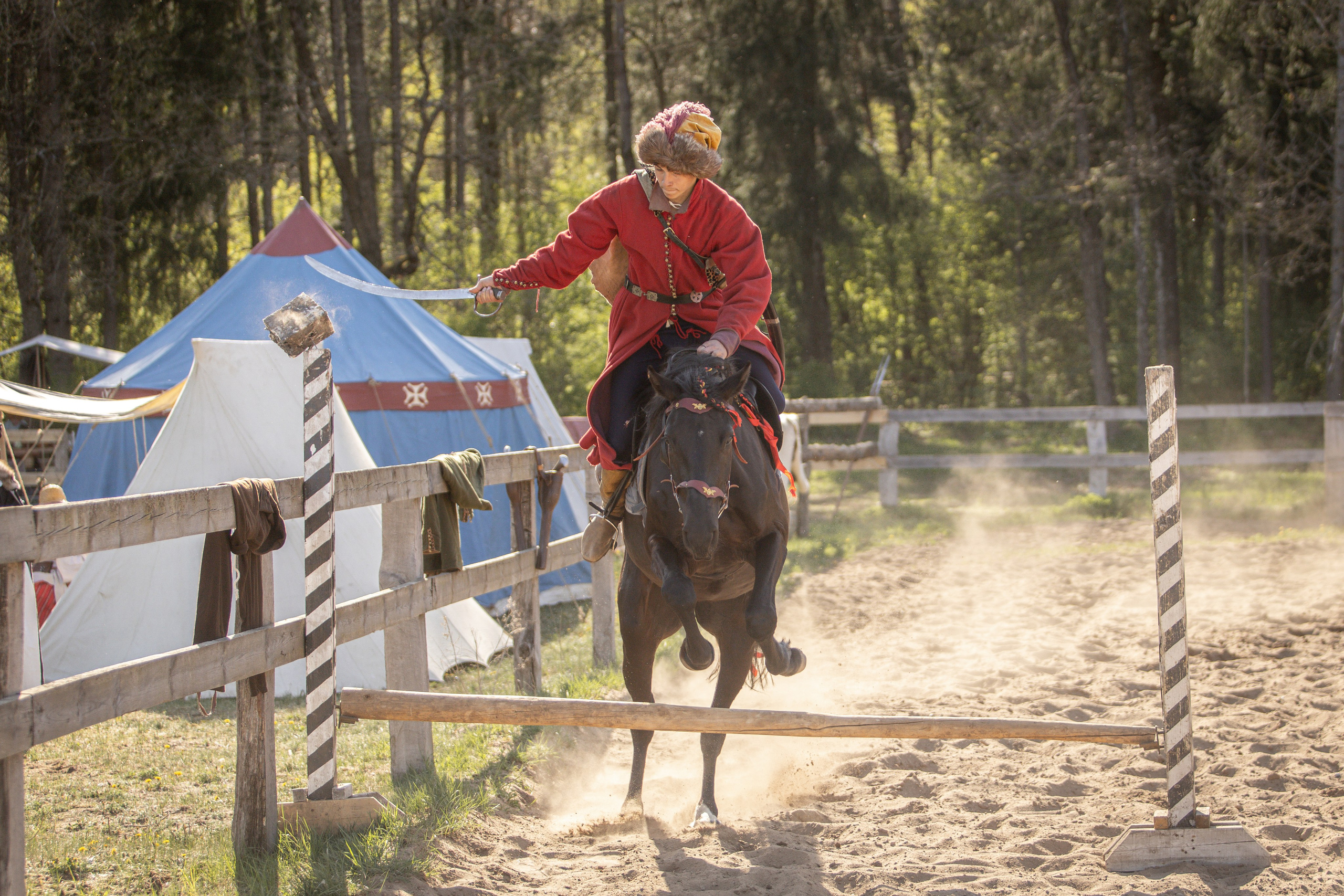 Золотая Шпора. Огнем и Мечем. День первый. Рыцарский турнир. Профессиональный интерьерный и репортажный фотограф Минск и РБ. Максим Орлов