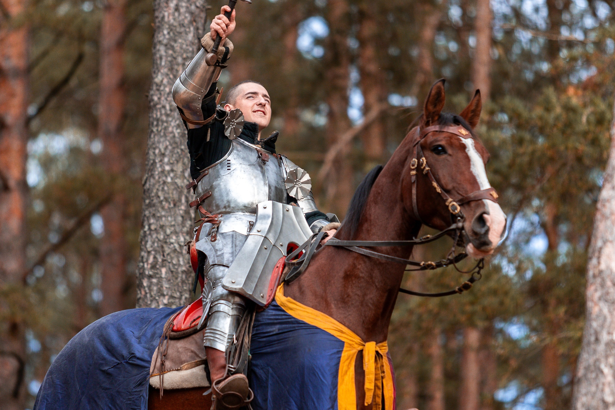 Рыцарская с Афиной. Дима Теслик. Профессиональный интерьерный и репортажный фотограф Минск и РБ. Максим Орлов