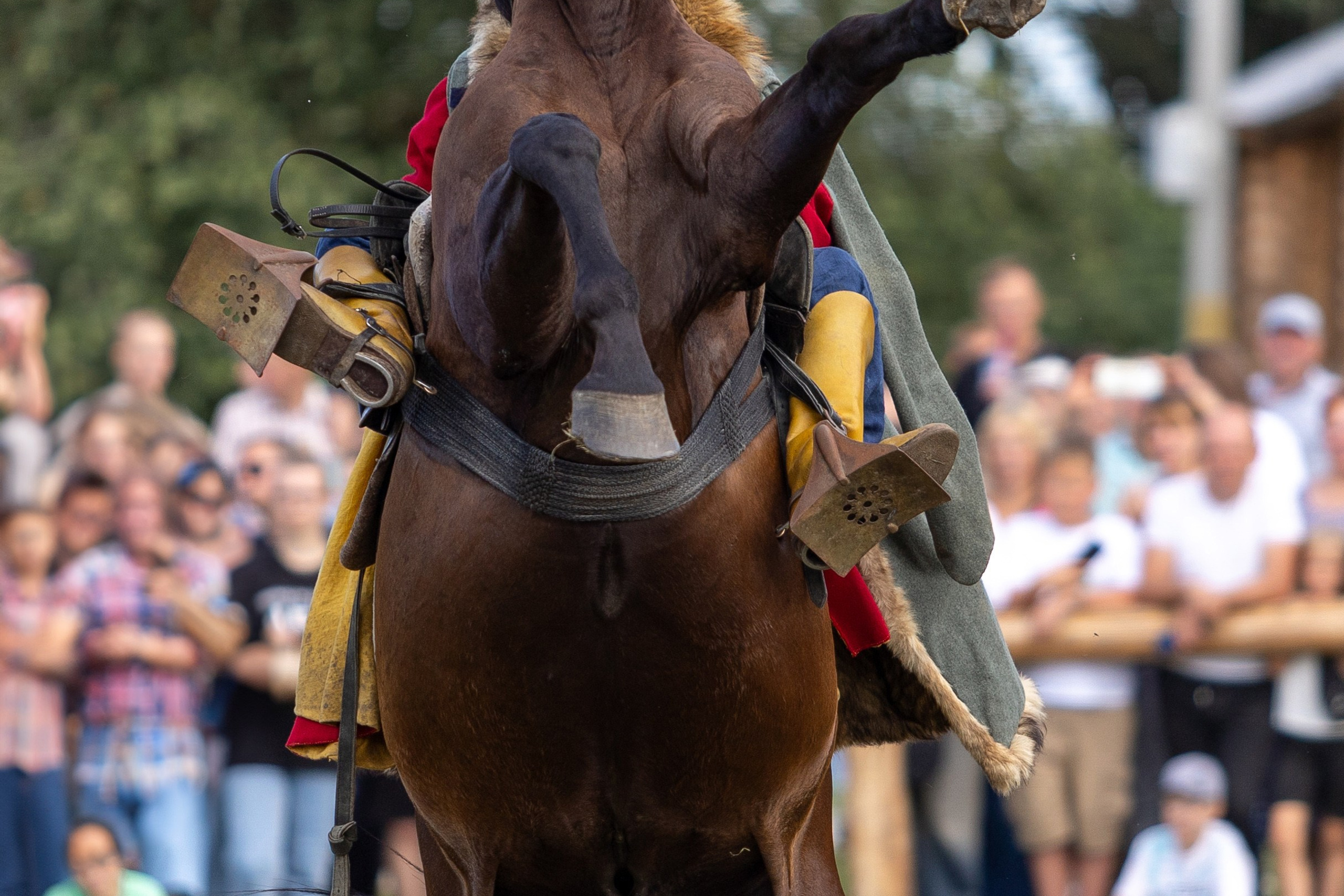 Рыцарский фест. Мстиславль. Профессиональный интерьерный и репортажный фотограф Минск и РБ. Максим Орлов