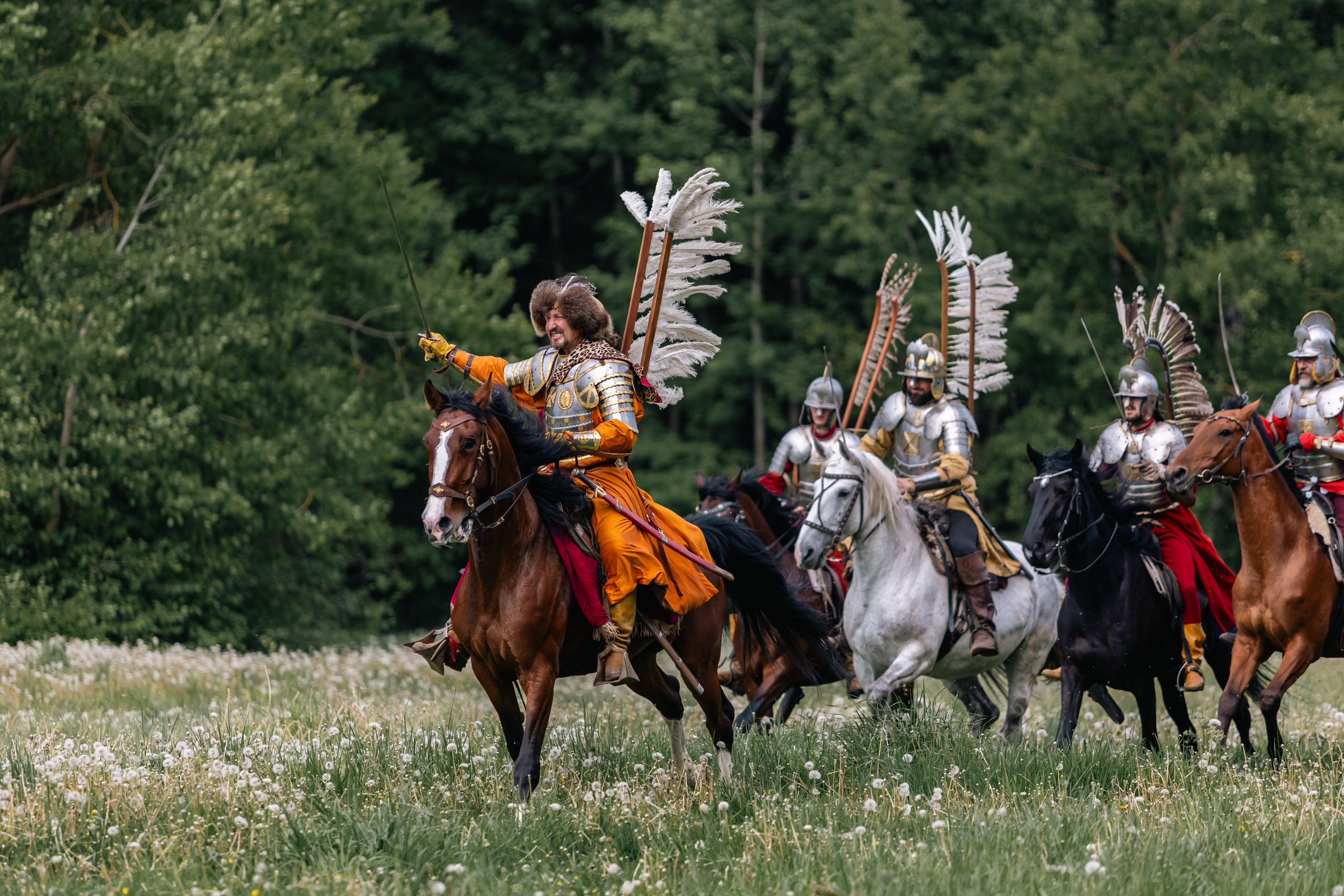 Золотая шпора. Маневры 17 века. Профессиональный интерьерный и репортажный фотограф Минск и РБ. Максим Орлов