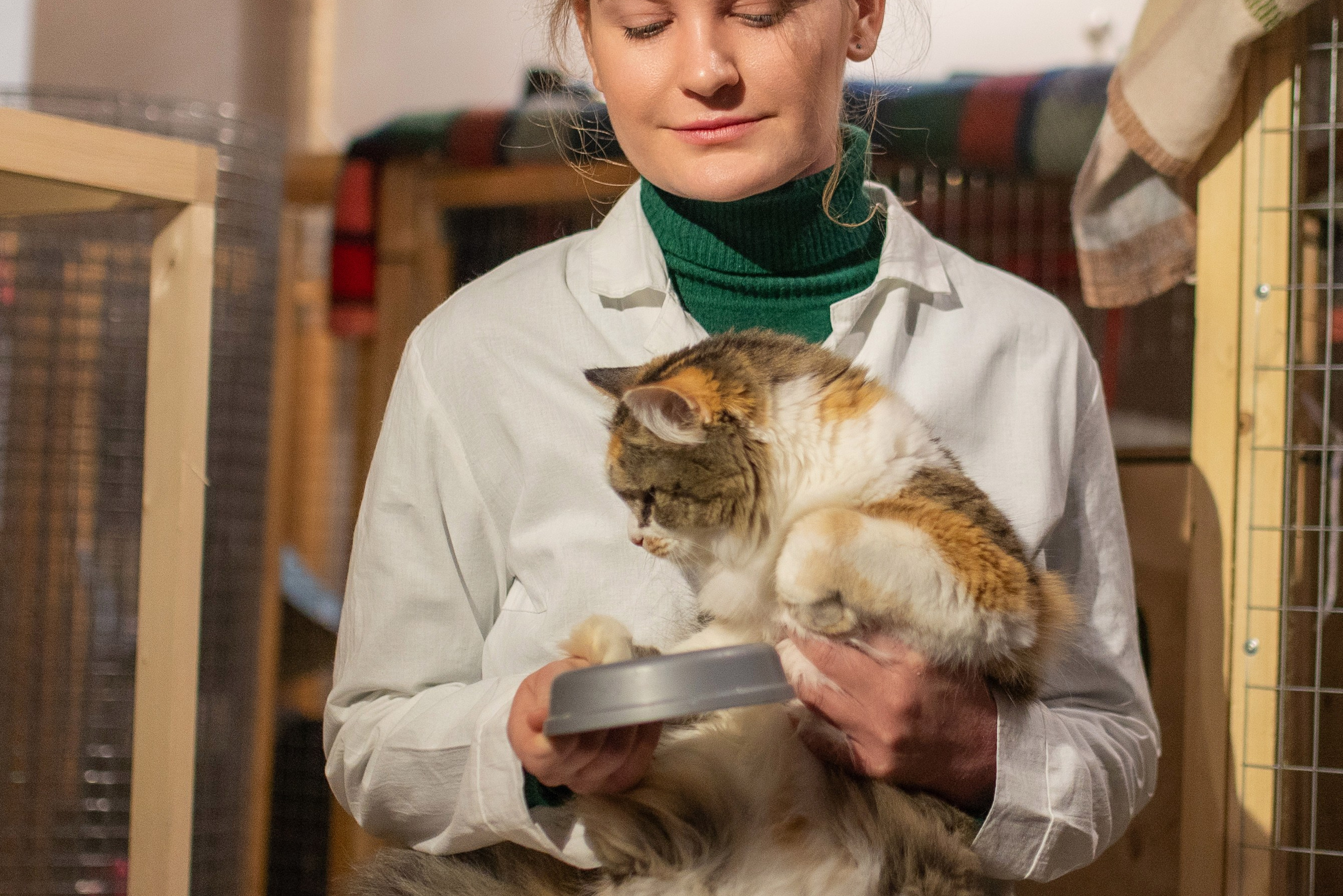 Котики для Old Cat. Профессиональный интерьерный и репортажный фотограф Минск и РБ. Максим Орлов