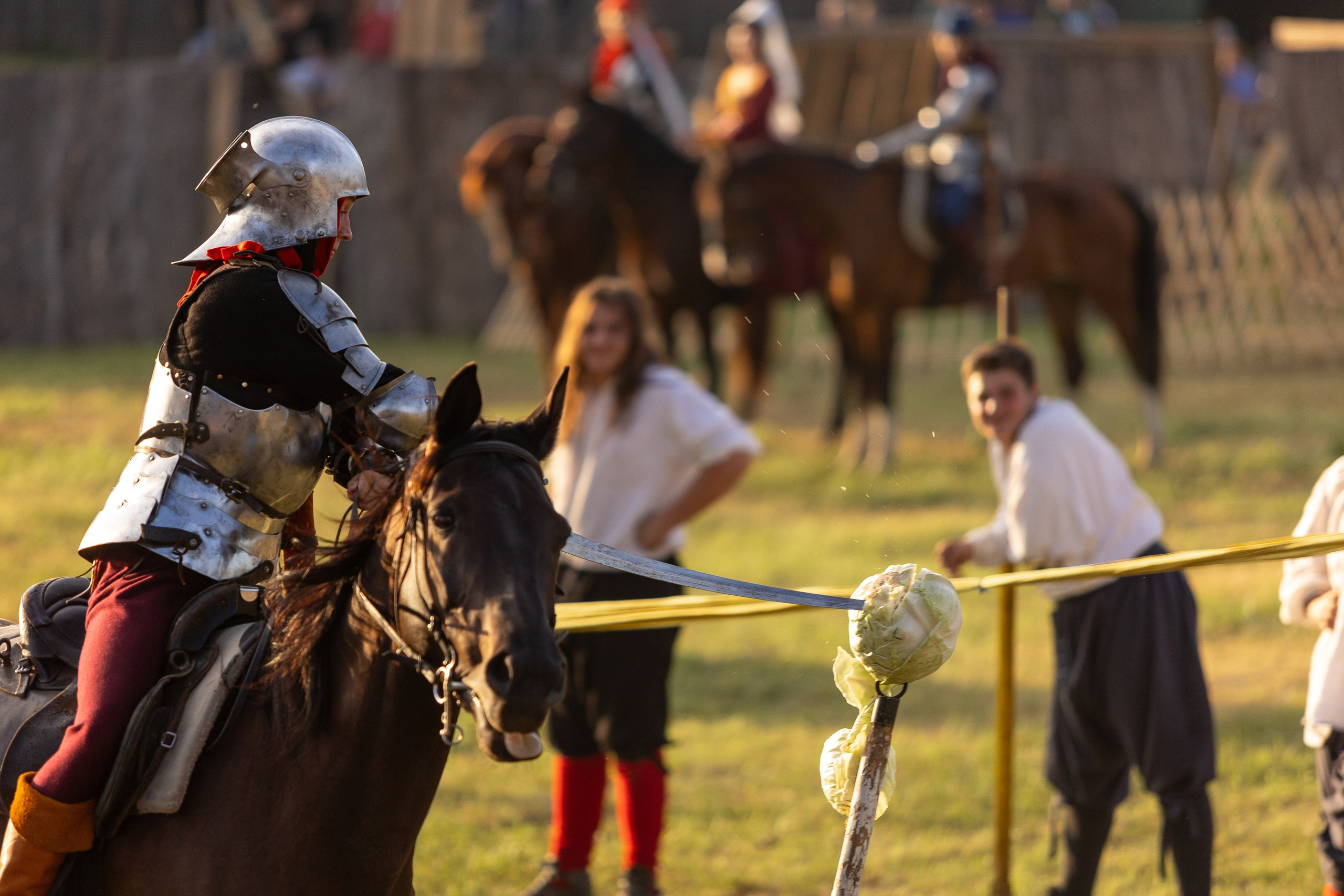 Рыцарский фест. Мстиславль. Профессиональный интерьерный и репортажный фотограф Минск и РБ. Максим Орлов
