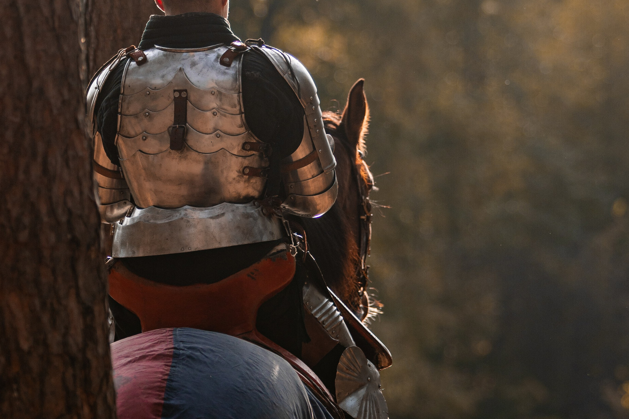 Рыцарская с Афиной. Дима Теслик. Профессиональный интерьерный и репортажный фотограф Минск и РБ. Максим Орлов