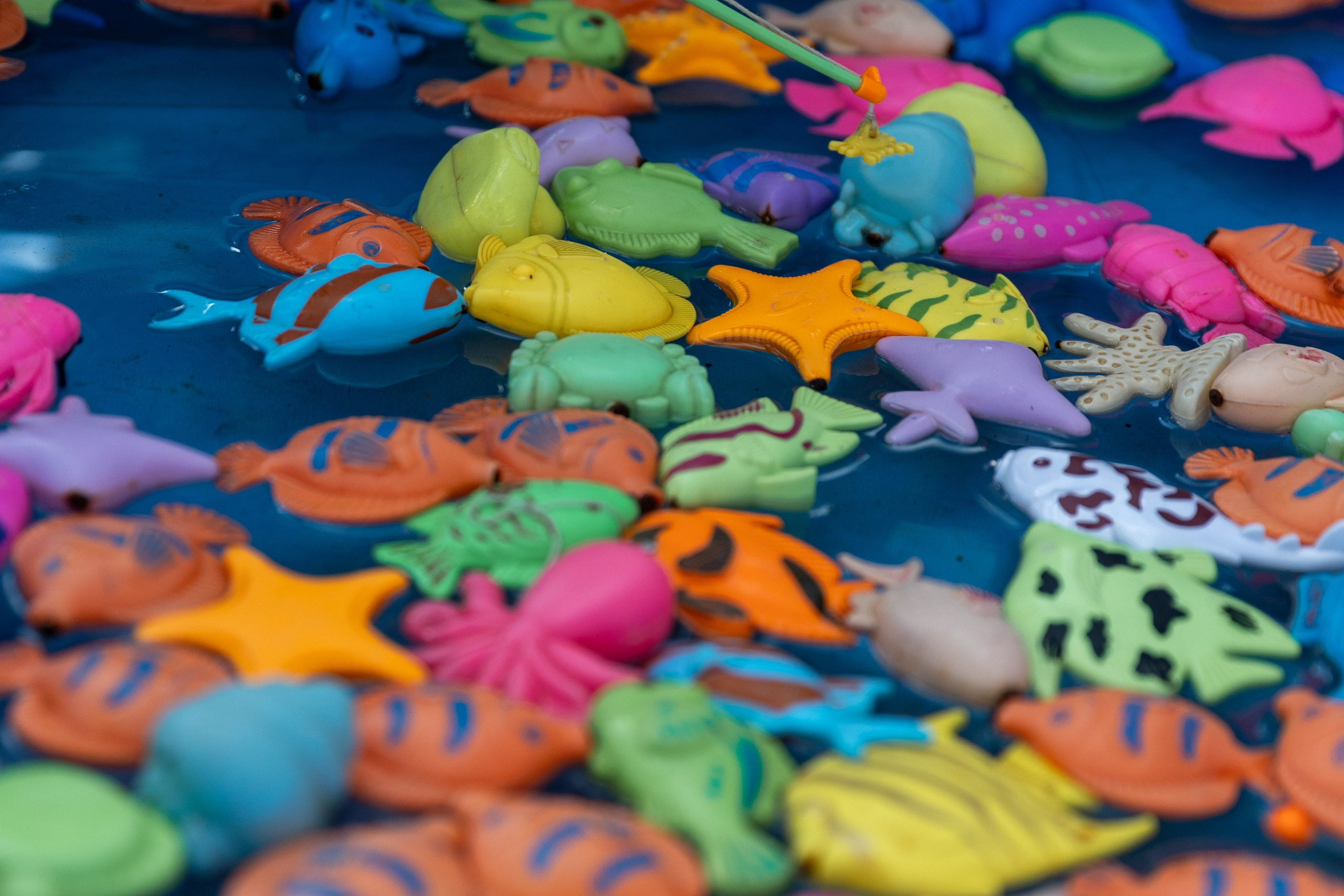 Детифест. Профессиональный интерьерный и репортажный фотограф Минск и РБ. Максим Орлов