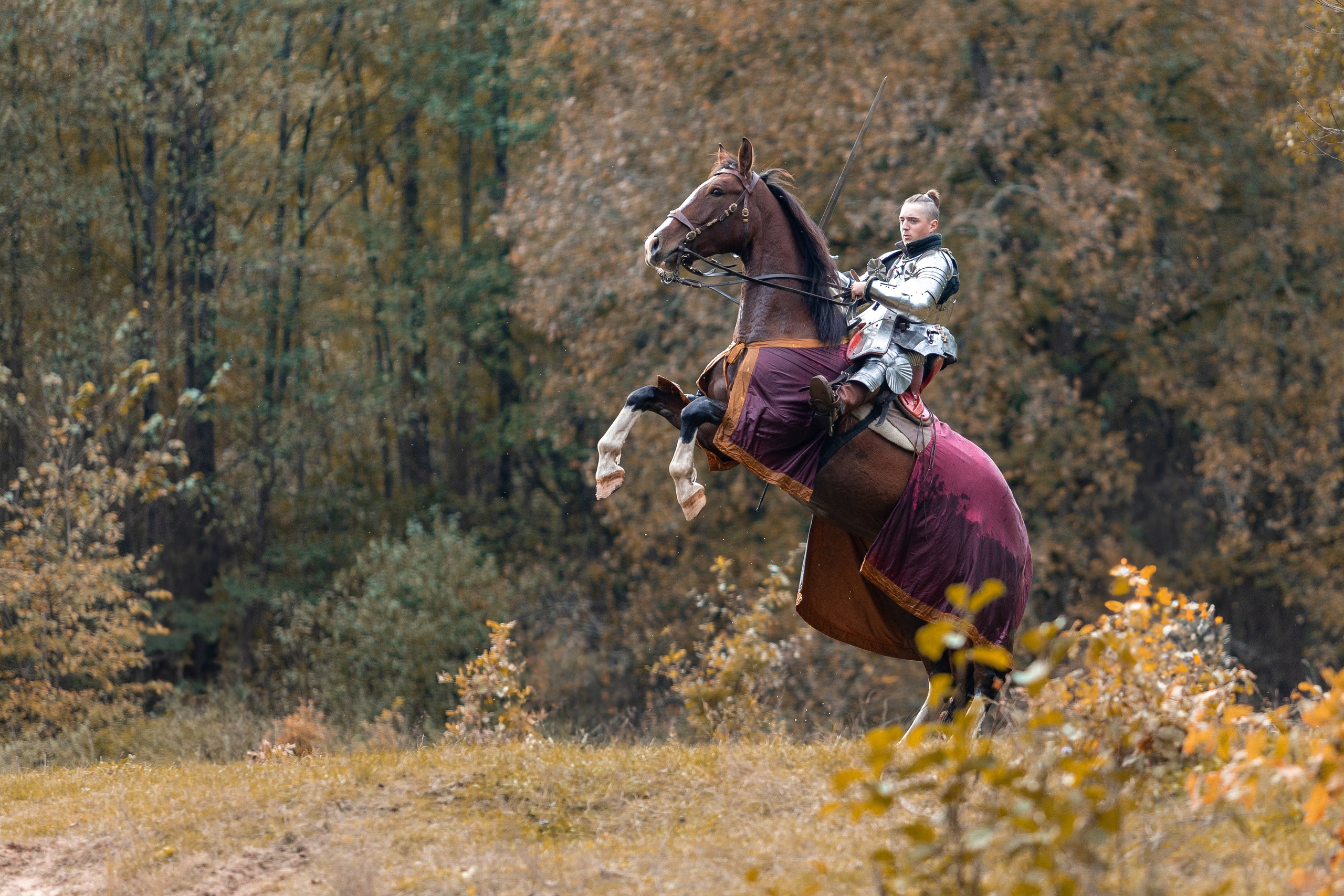 Рыцарская с Афиной. Дима Теслик. Профессиональный интерьерный и репортажный фотограф Минск и РБ. Максим Орлов