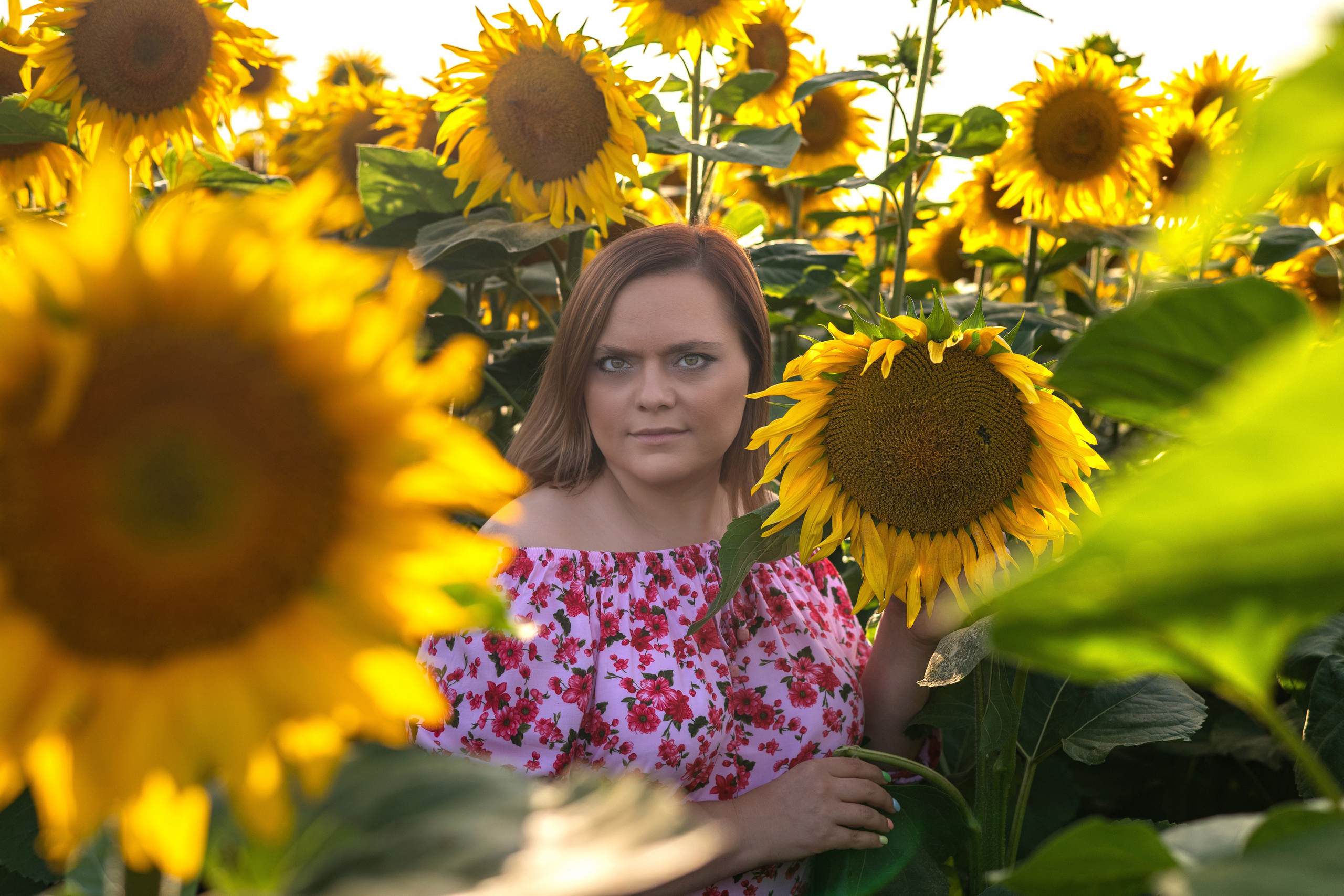 Катя в подсолнухах. Профессиональный интерьерный и репортажный фотограф Минск и РБ. Максим Орлов