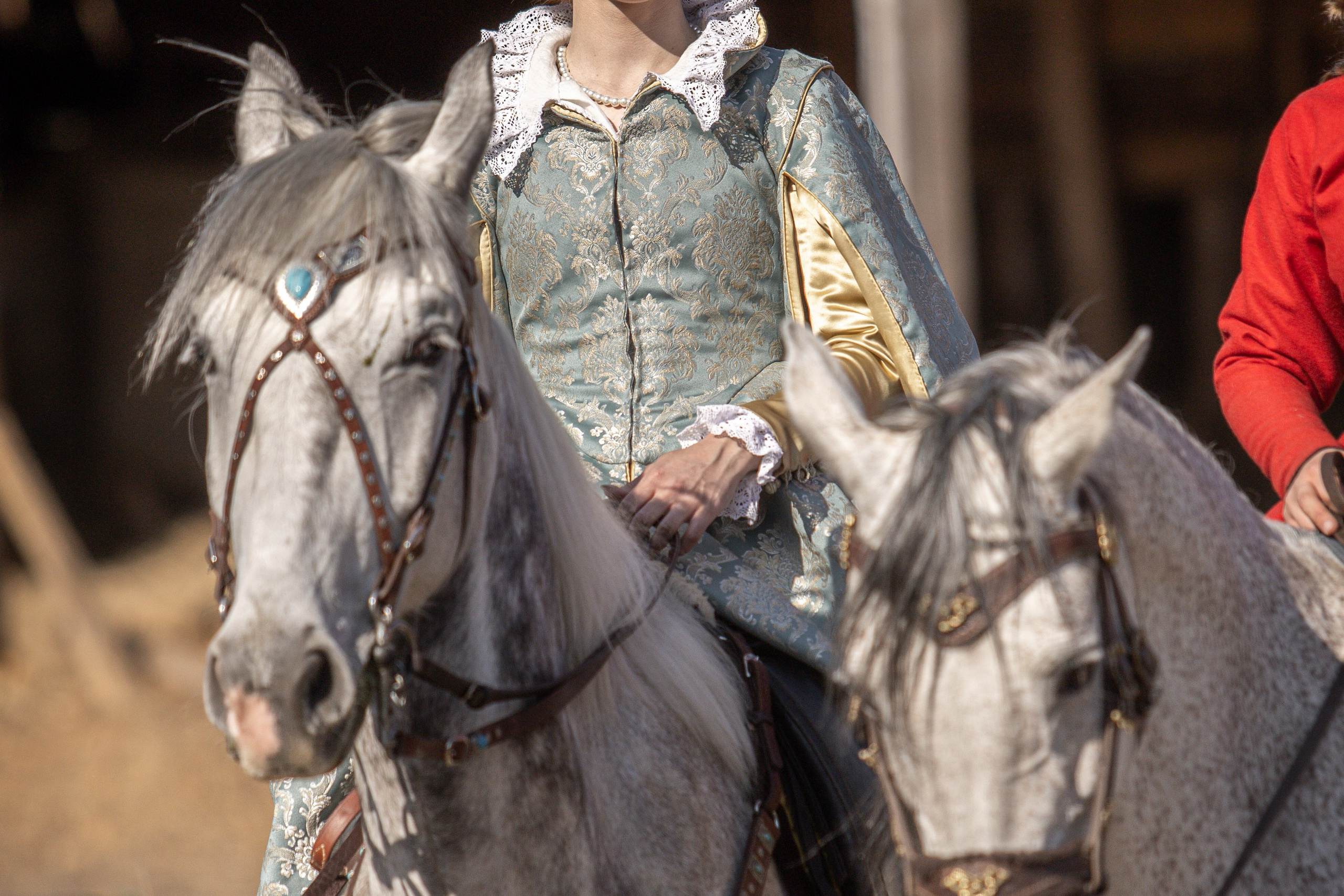 Золотая Шпора. Огнем и Мечем. День первый. Рыцарский турнир. Профессиональный интерьерный и репортажный фотограф Минск и РБ. Максим Орлов