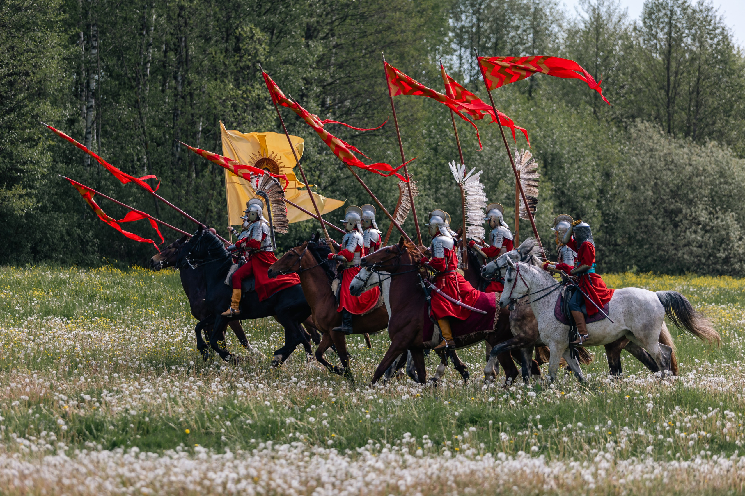 Золотая шпора. Маневры 17 века. Профессиональный интерьерный и репортажный фотограф Минск и РБ. Максим Орлов